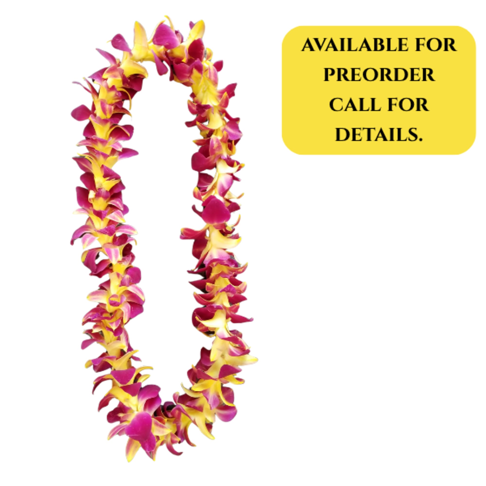 Select this beautiful single dyed yellow orchid lei for your special graduate.