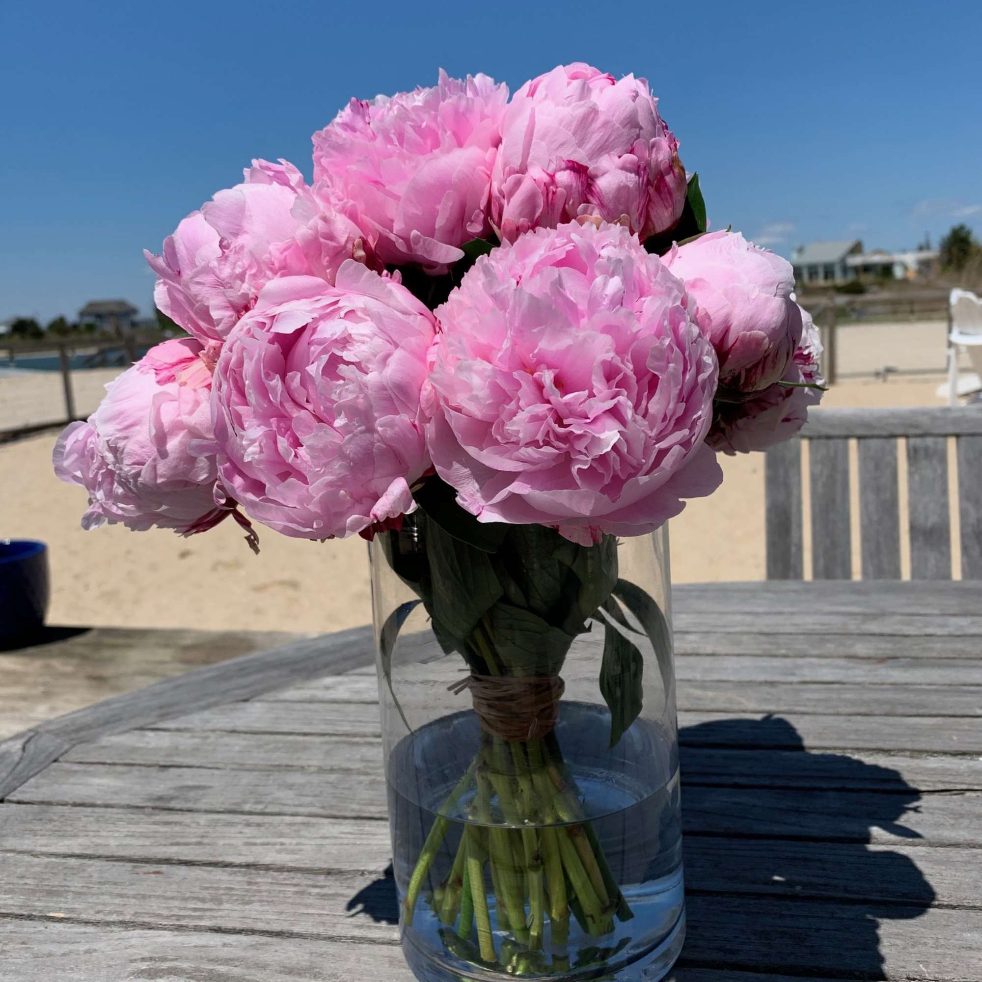 Pink peonies arranged in a clear glass vase