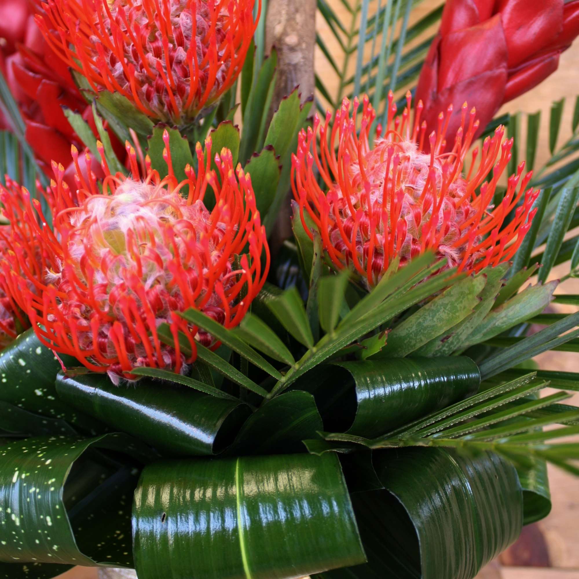 Valentine's Day 2019 Collection, a stunning gold vase filled with red lush