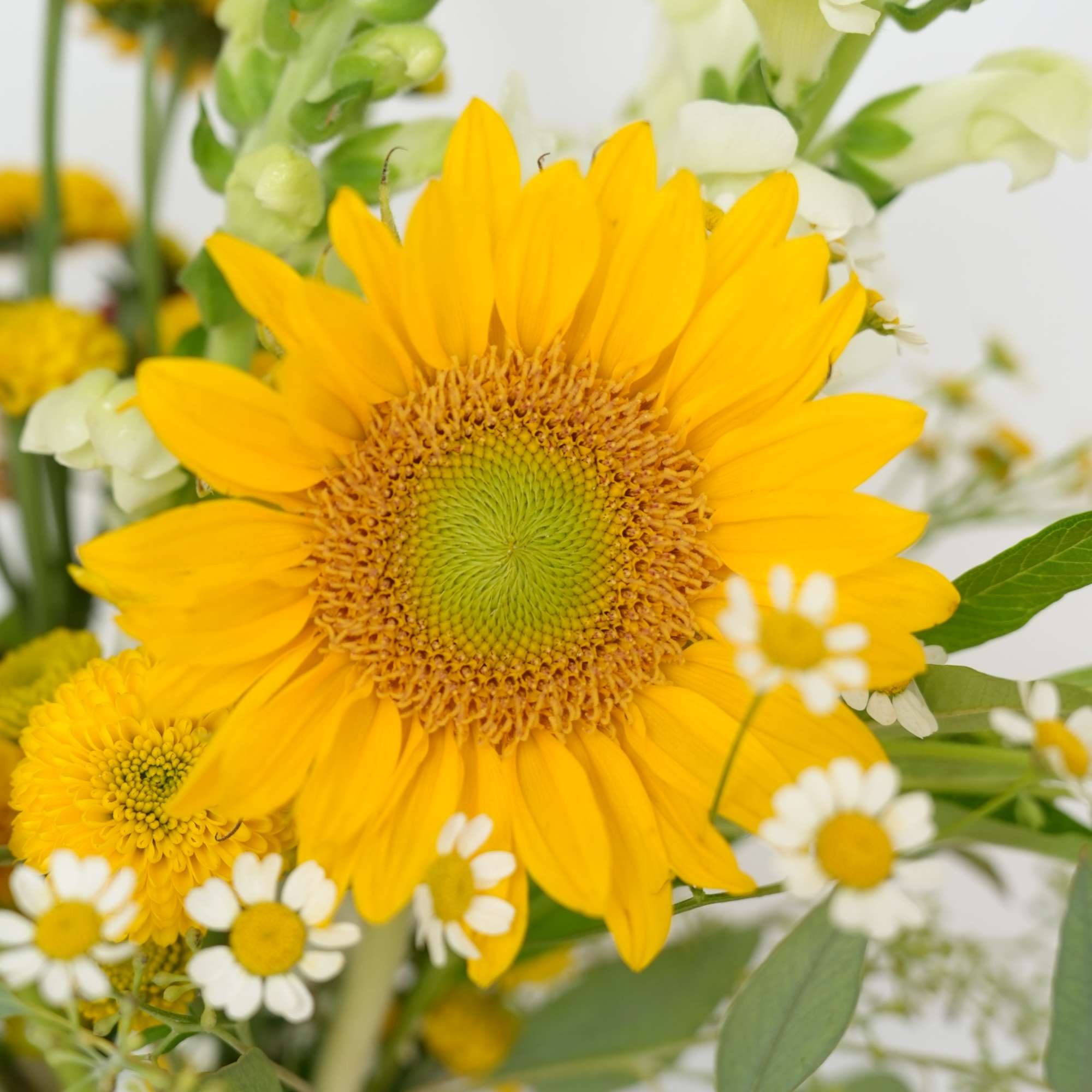 Yellow sunflower bouquet with white daisy-like flowers and green accents