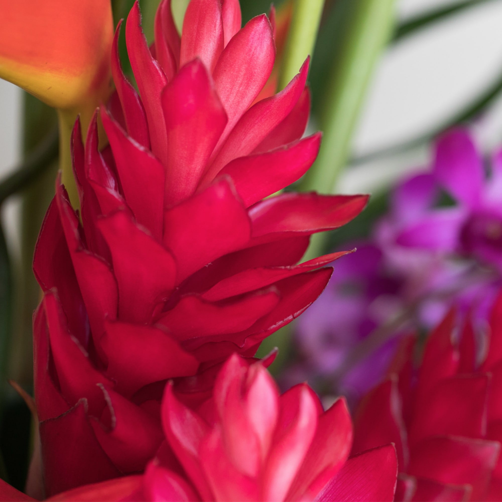Illuminate any office or home with our vibrant and cheerful tropical flower
