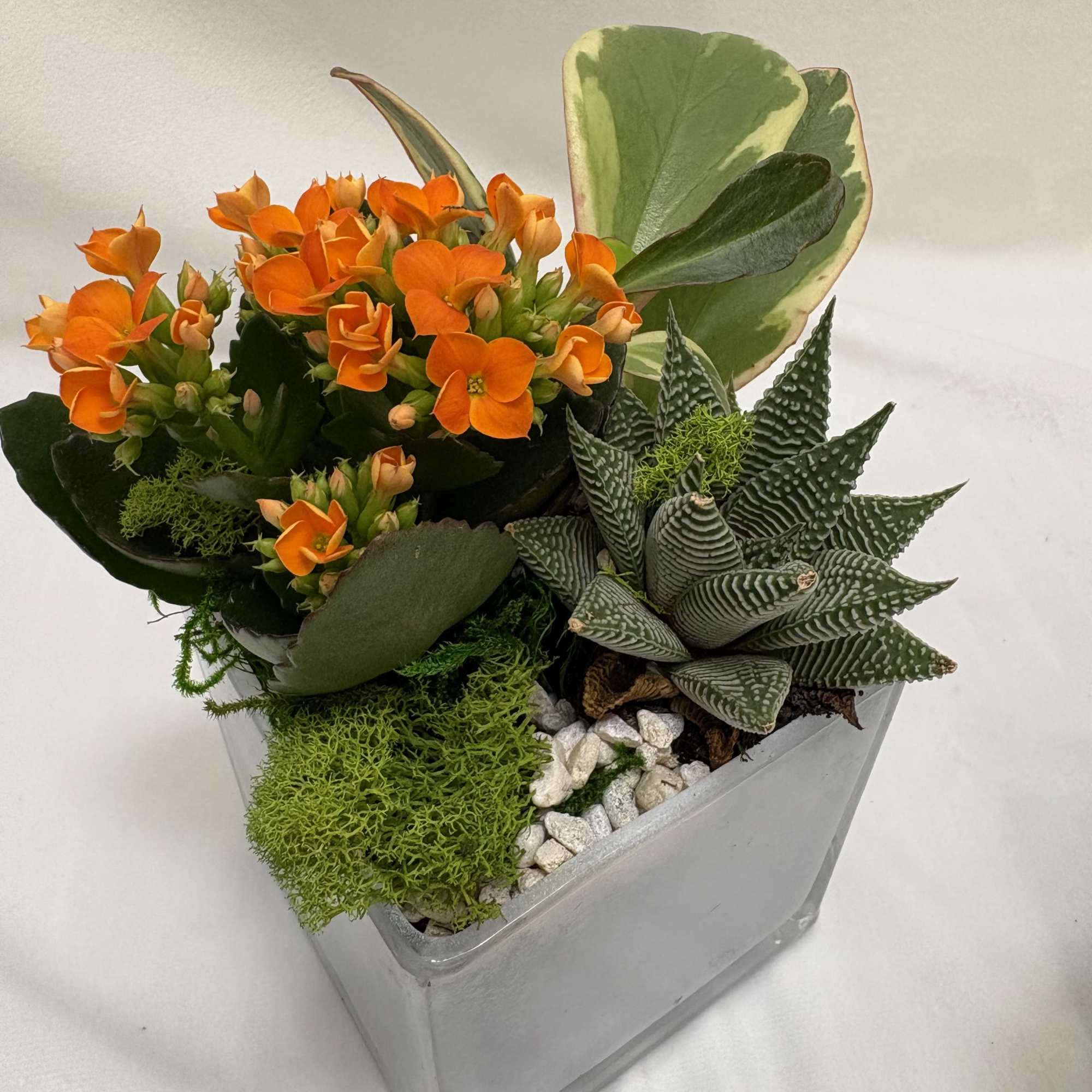A compact, modern centerpiece that brings a fresh, contemporary vibe - this
