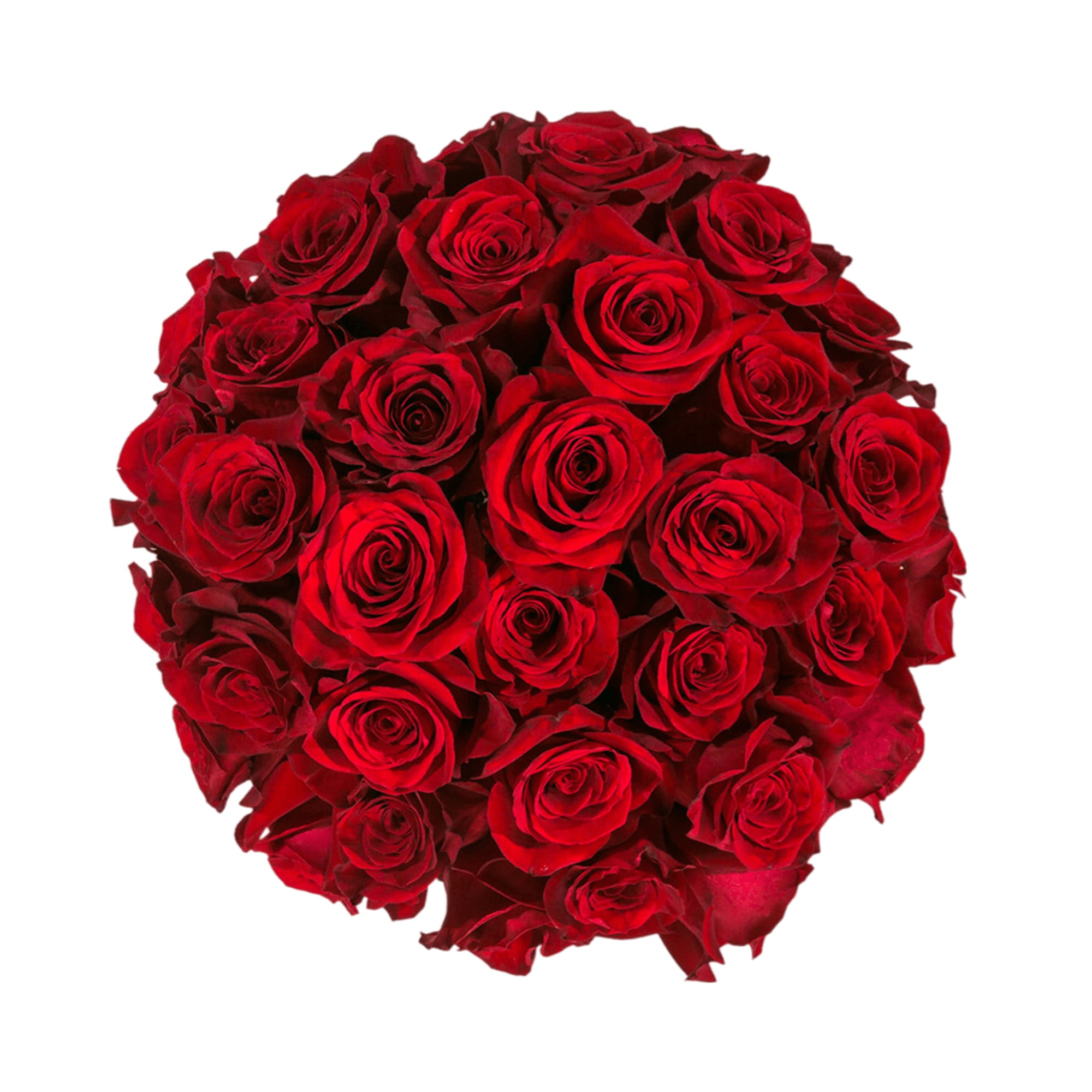 Make a bold statement with this beautifully simple design. Three Dozen Modern