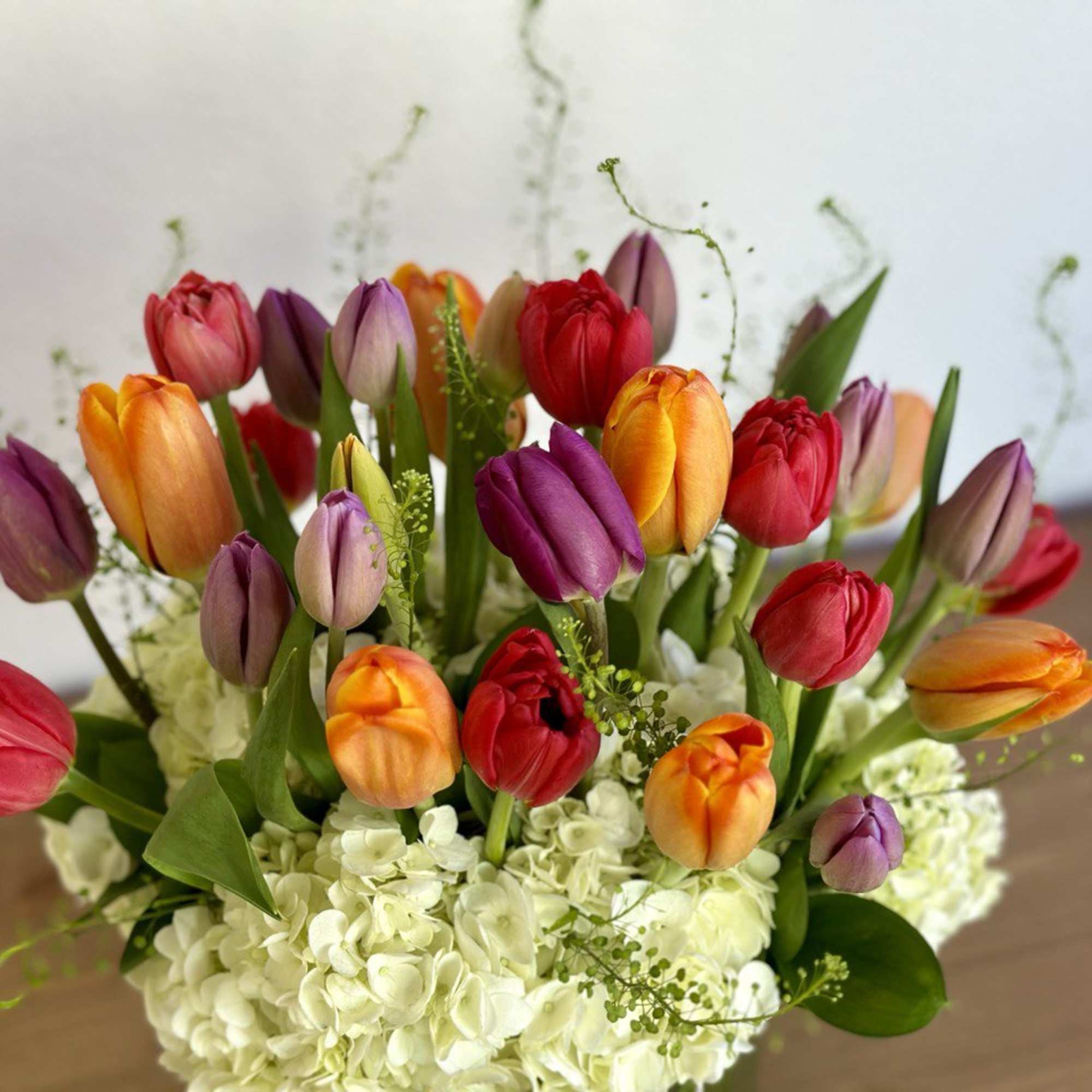 Colorful tulips arranged above white hydrangeas in a low vase