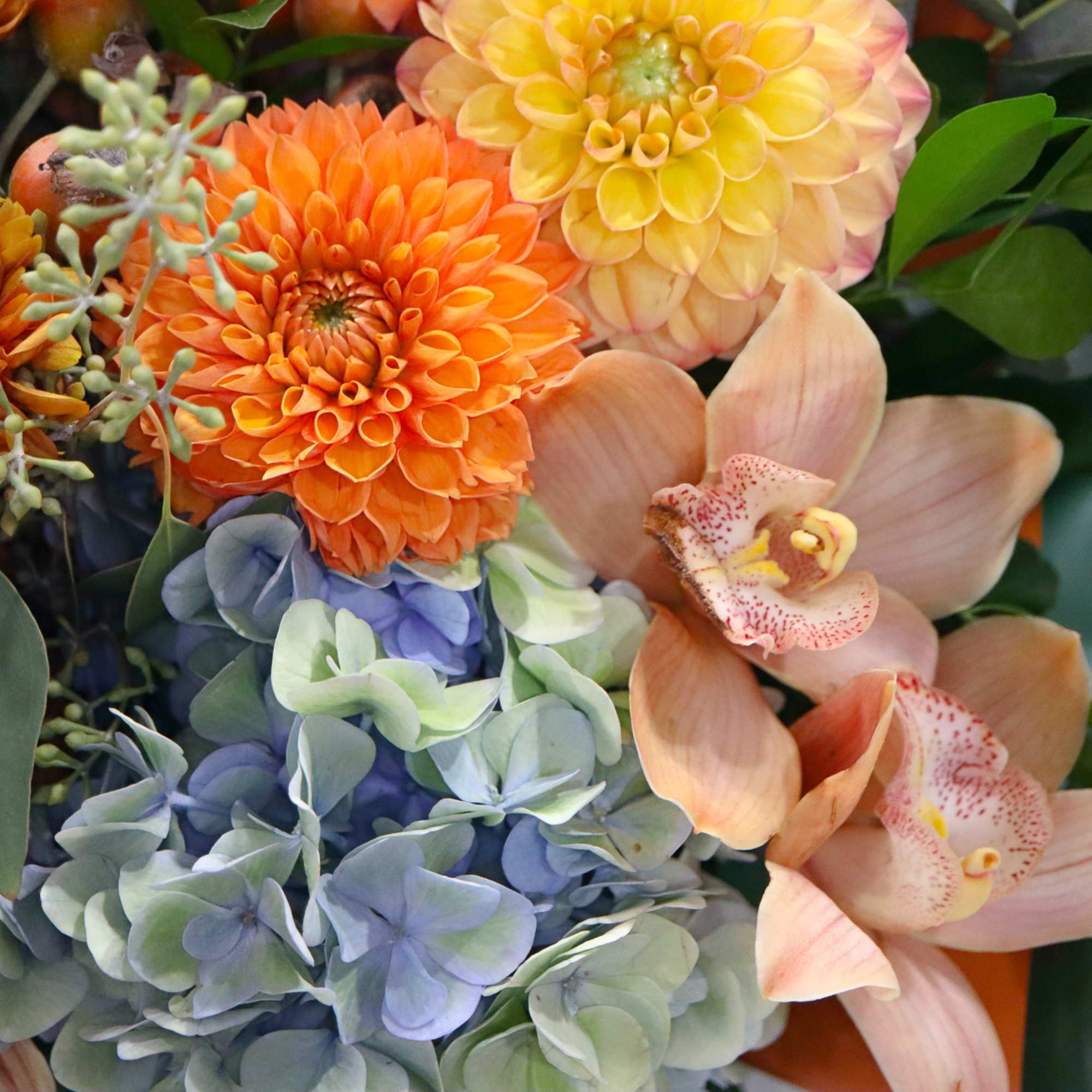 Our newest fall collection brings up the most colorful and joyful combination
