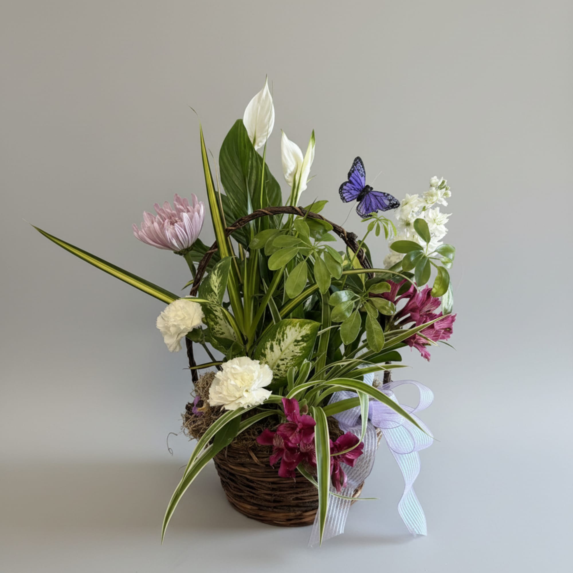 Beautifully arranged assortment of plants in different heights, textures and colors all