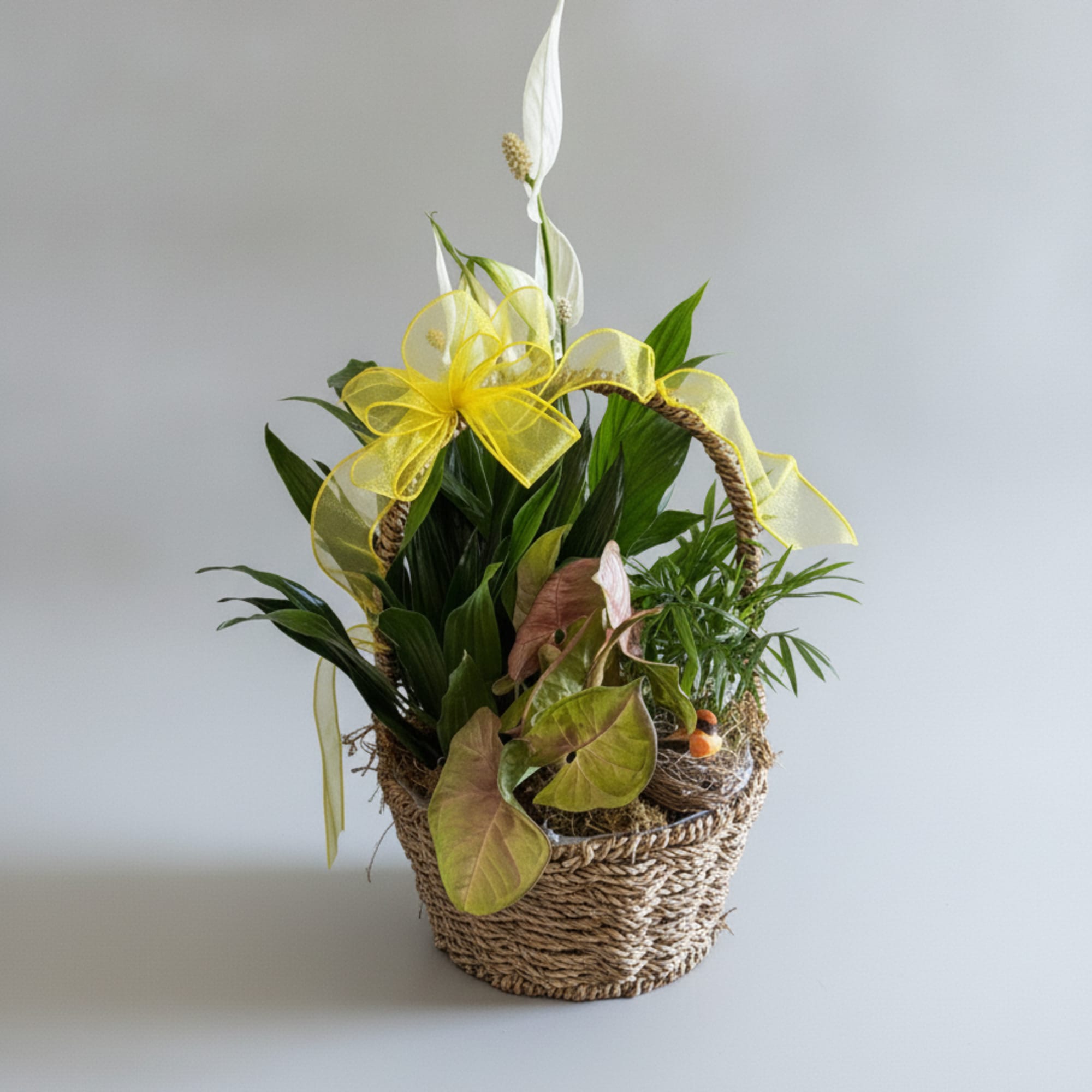 Beautiful collection of plants with different heights, textures and colors artfully arranged