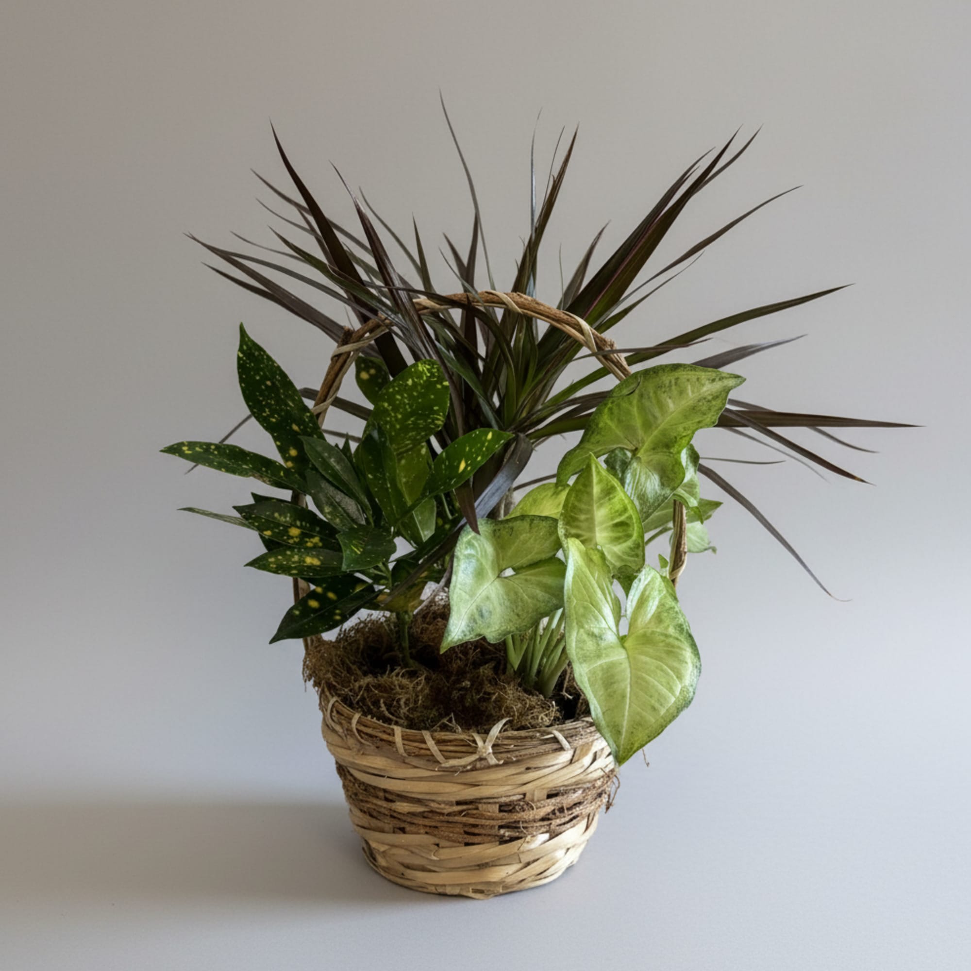 Beautifully  arranged assortment of plants in different heights, textures and colors