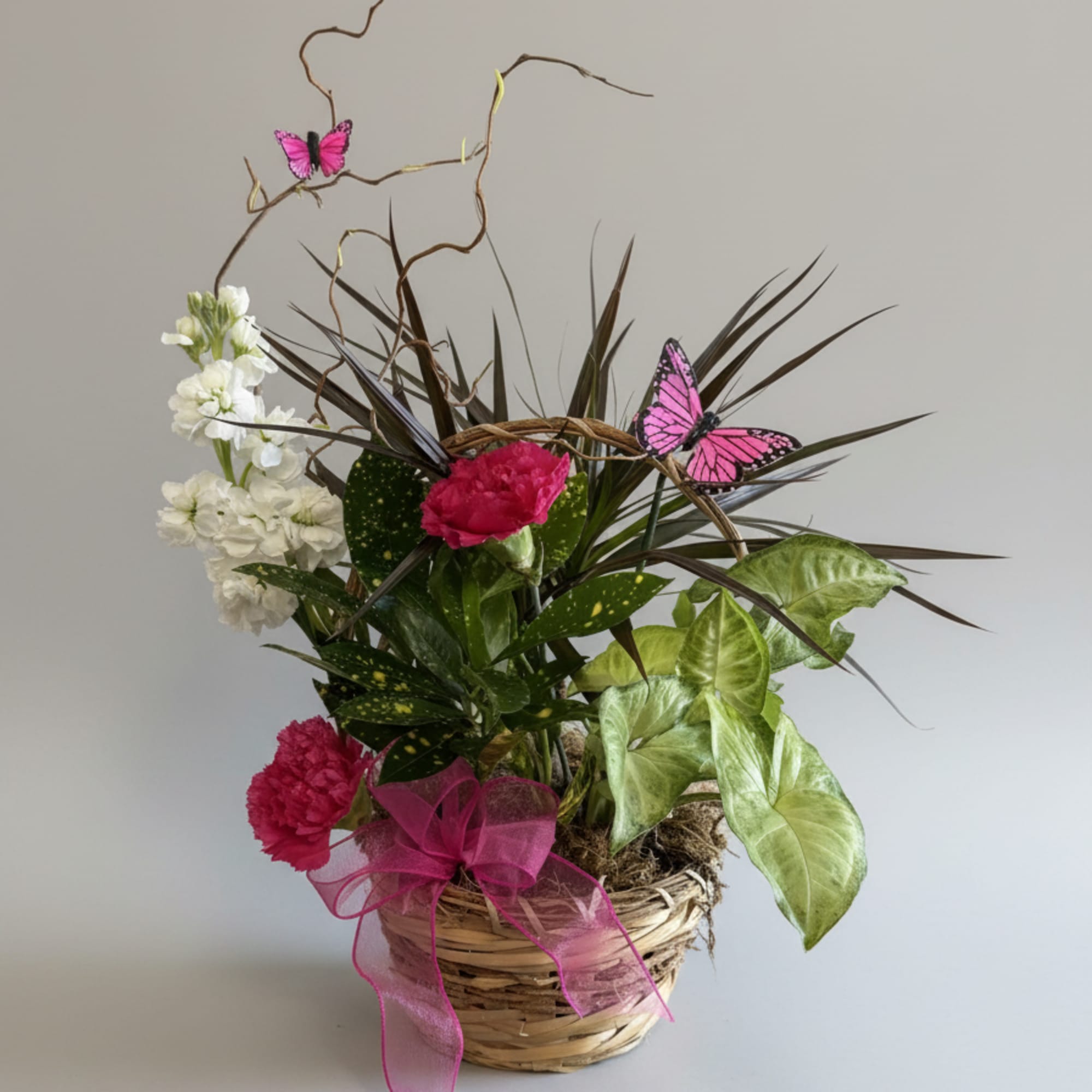 Beautifully  arranged assortment of plants in different heights, textures and colors