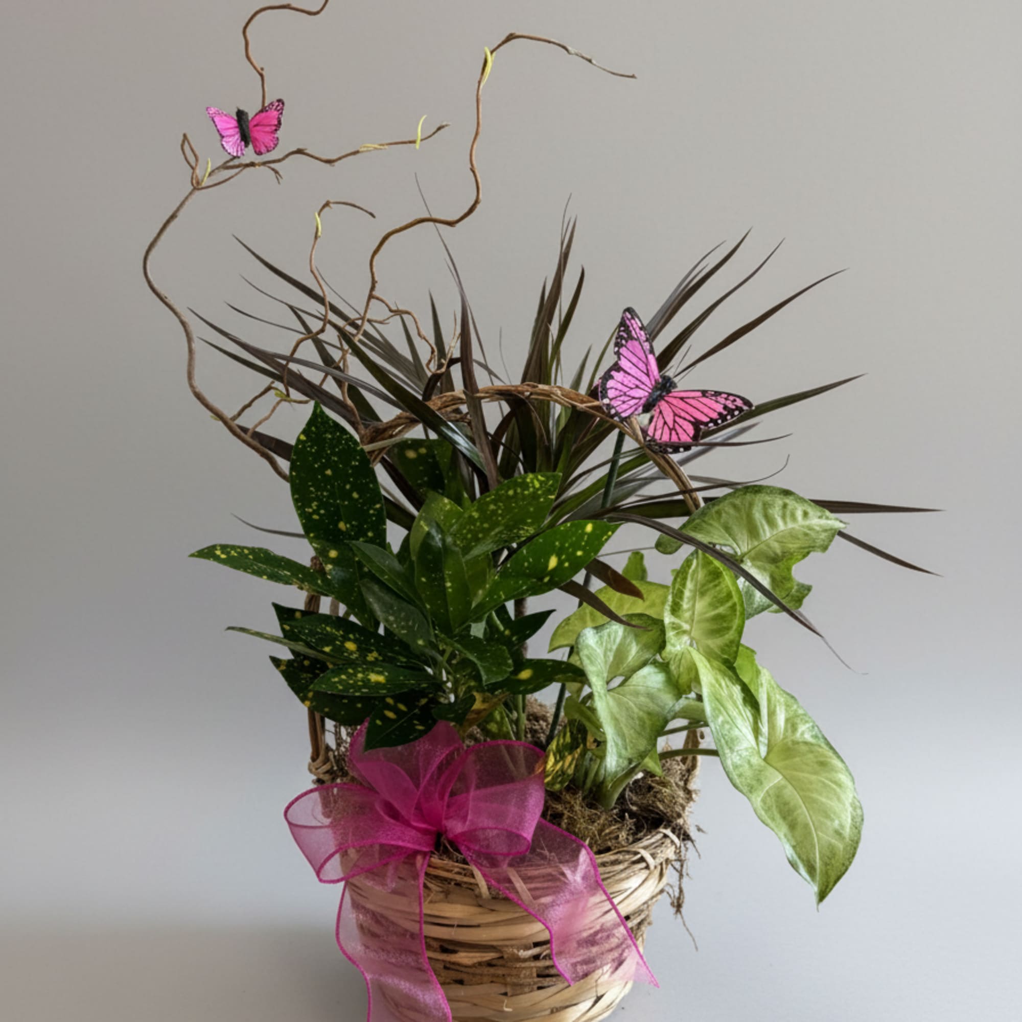 Beautifully  arranged assortment of plants in different heights, textures and colors