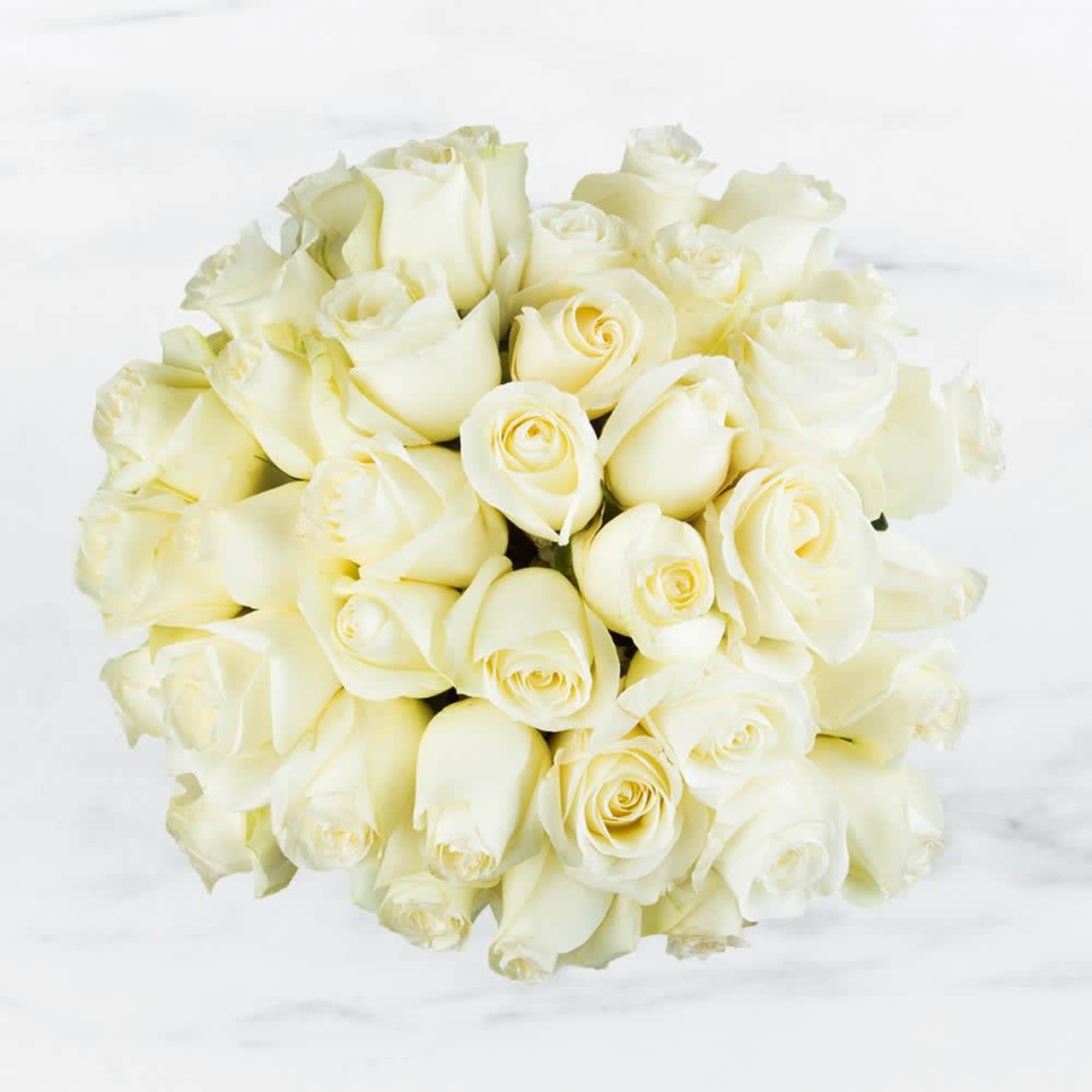 A sculpted dome of two dozen creamy white roses creates a quietly