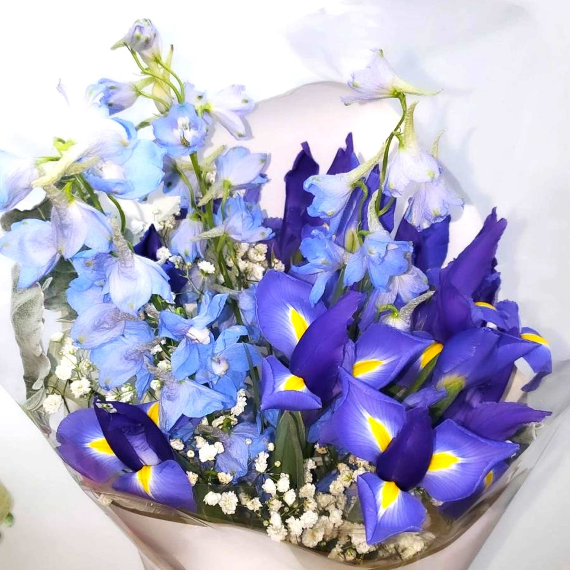 Bouquet of blue and purple flowers wrapped in clear paper