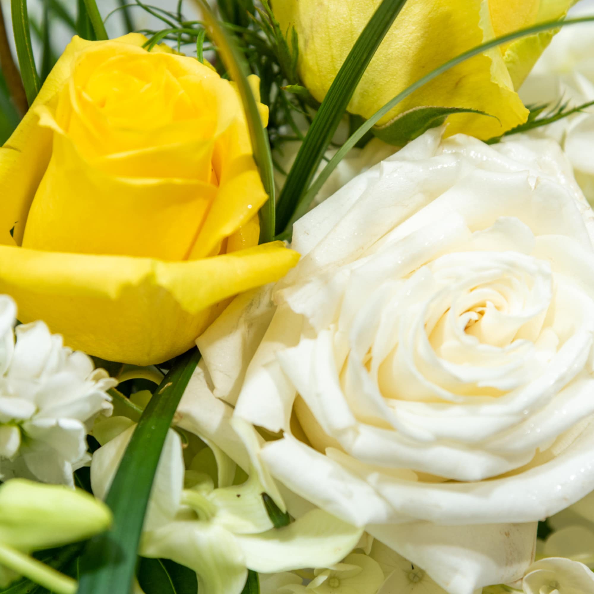 Yellow and white roses with small white blossoms and greenery