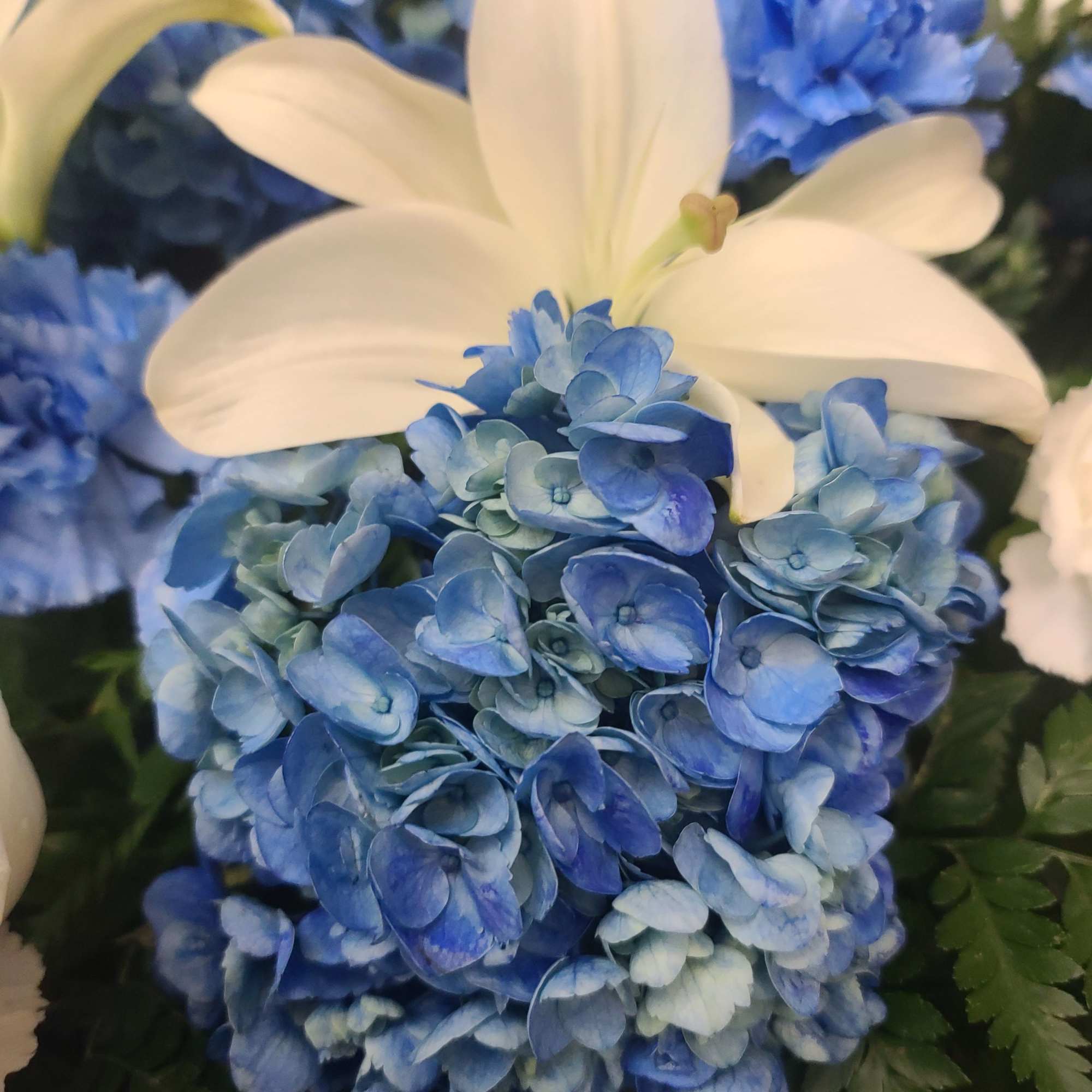 Blue hydrangea bouquet with white lilies