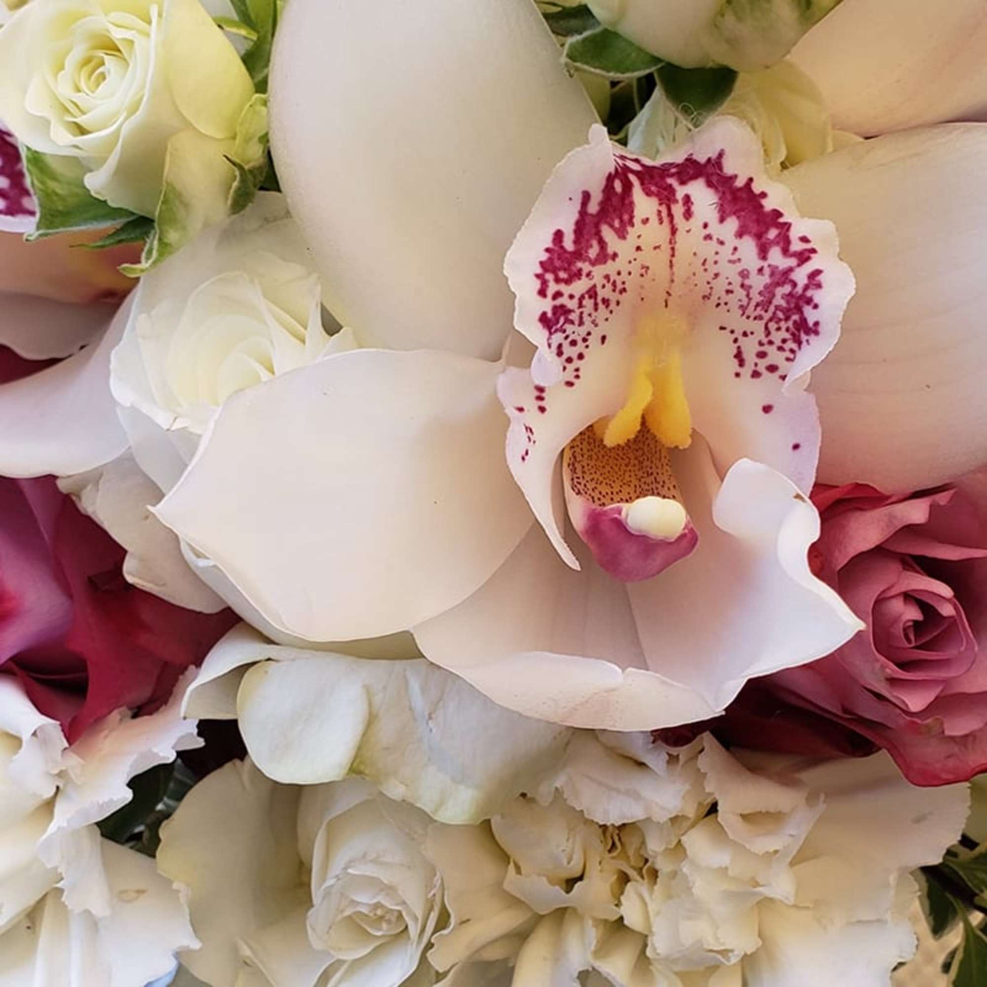The Cozy Blooms Bouquet is arranged with roses, spray roses, hydrangeas, and