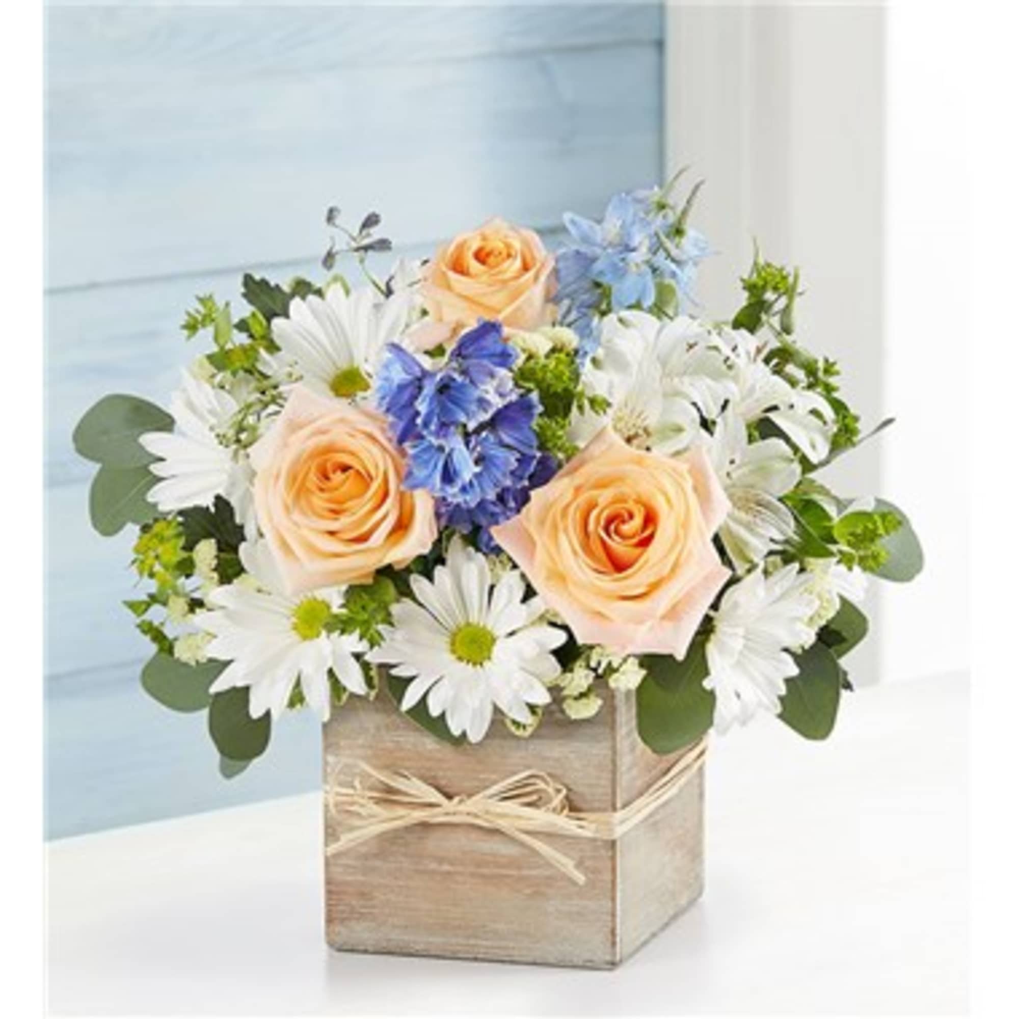 EXCLUSIVE Give Dad the day of relaxation he deserves with our Coastal