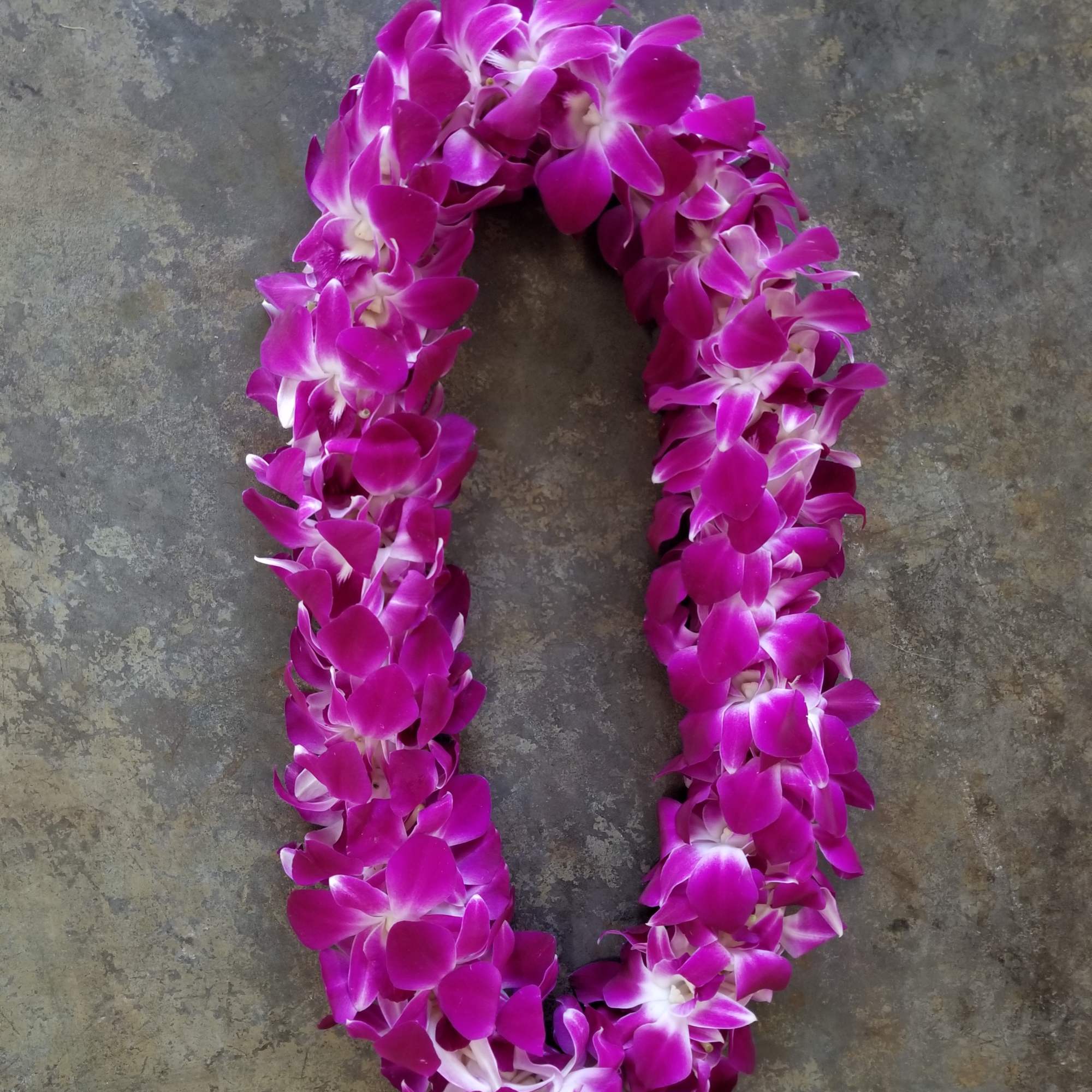 Magenta orchid lei on a gray stone surface
