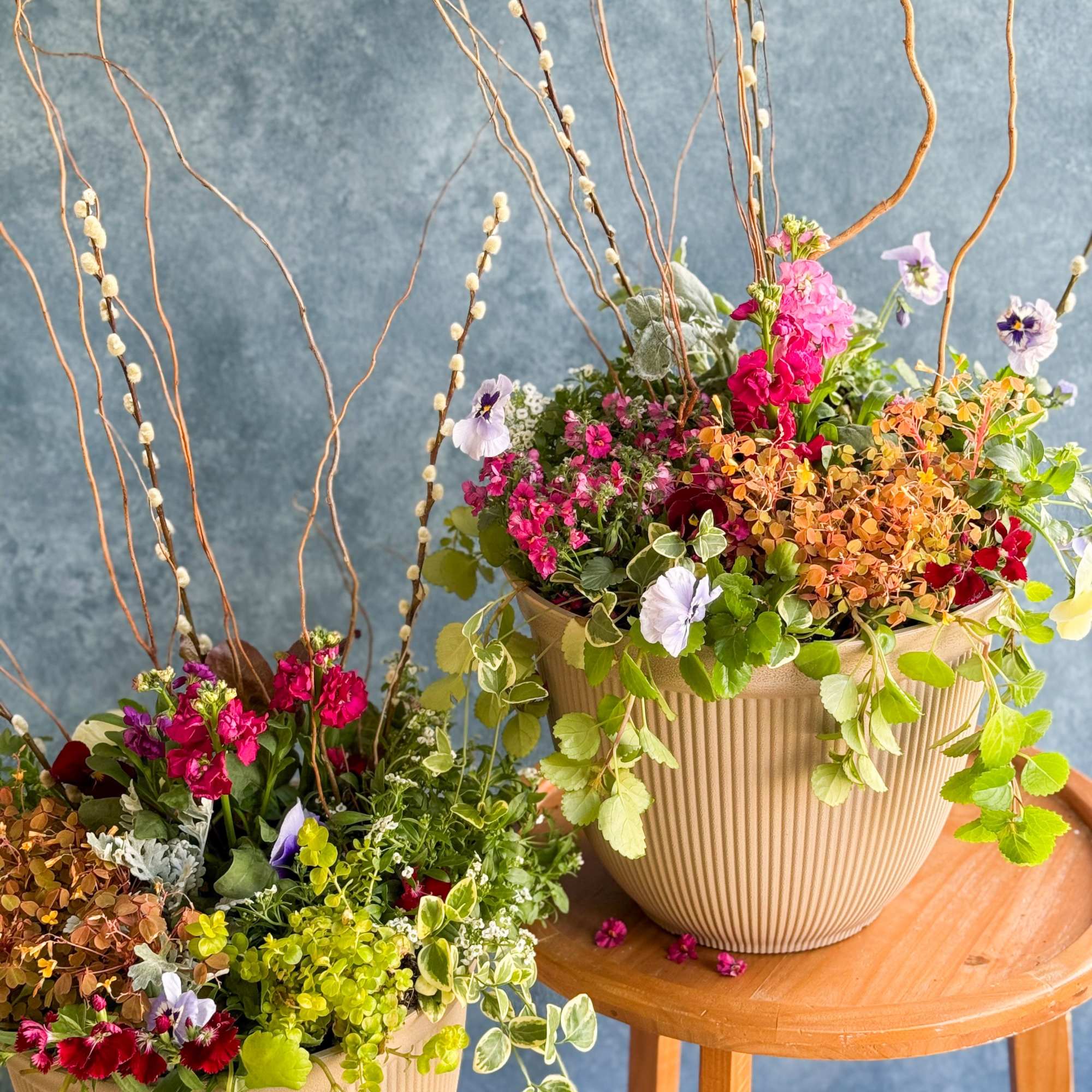 Two mixed floral arrangements in ribbed beige pots with tall curly branches