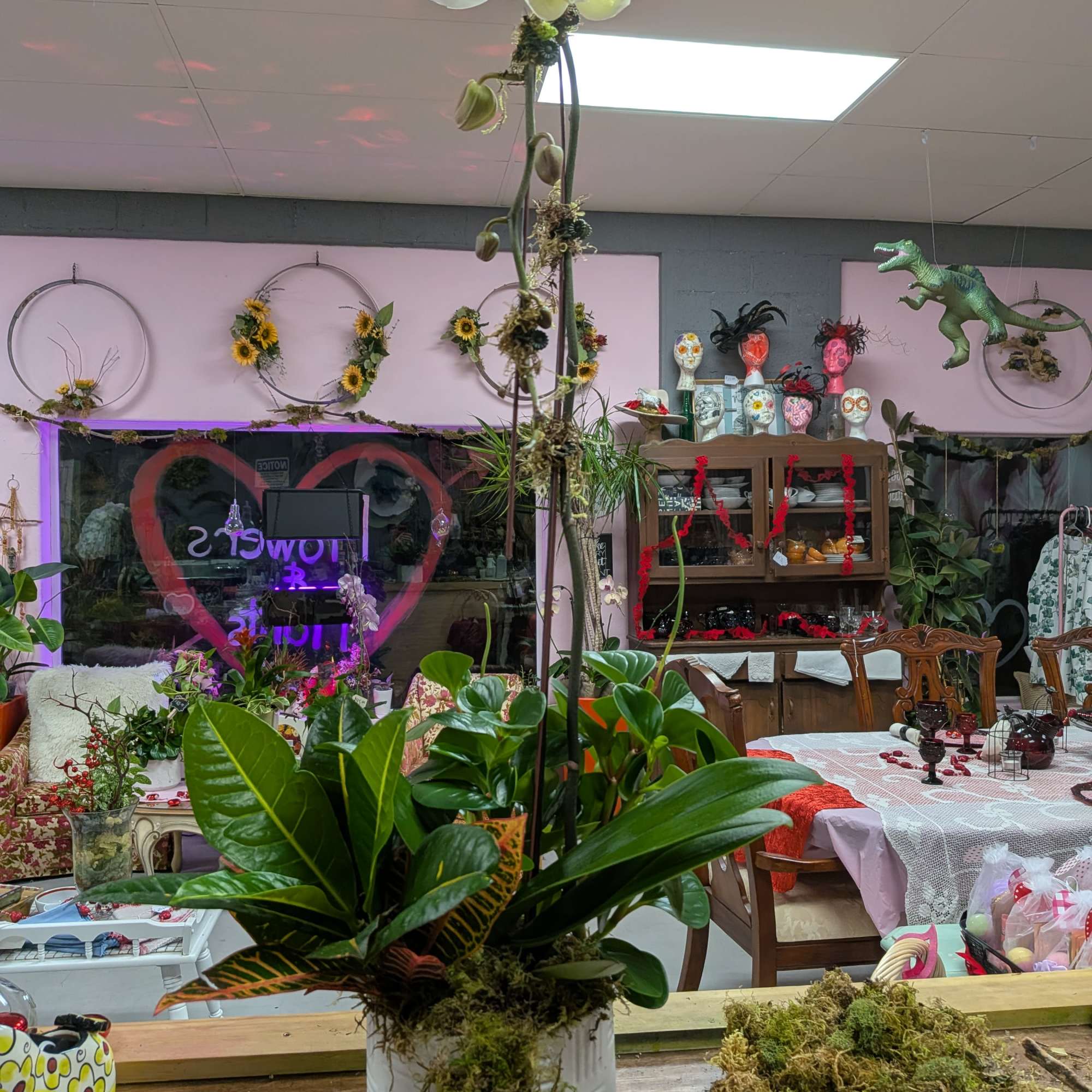 **Product Name:** Orchid &amp; Succulent Zen Garden

**Standard Description:** Elevate any space with