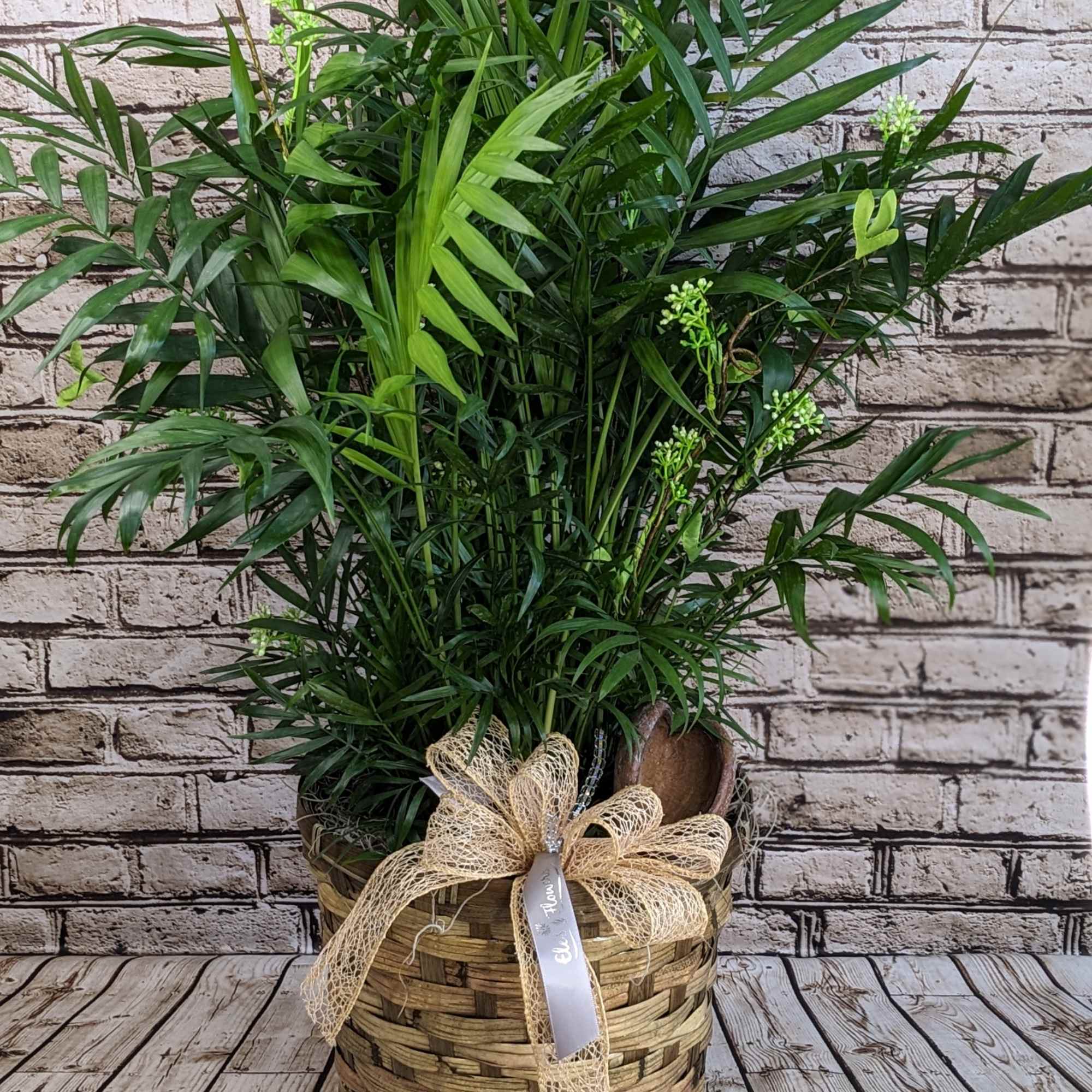 Tall green potted plant in a woven basket with a bow and a small candle beside it