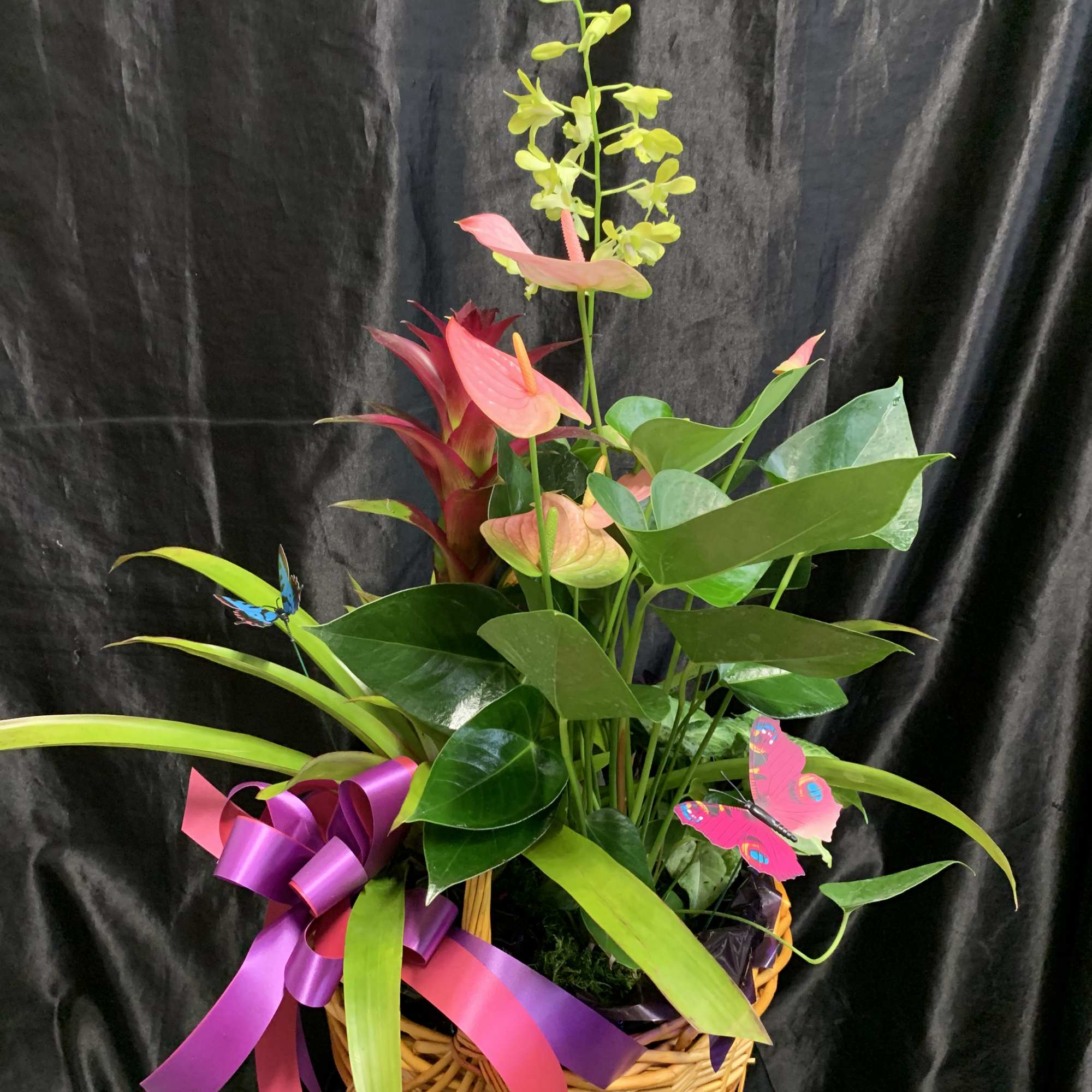 Tropical floral basket with pink anthuriums and orchids, tied with purple ribbon