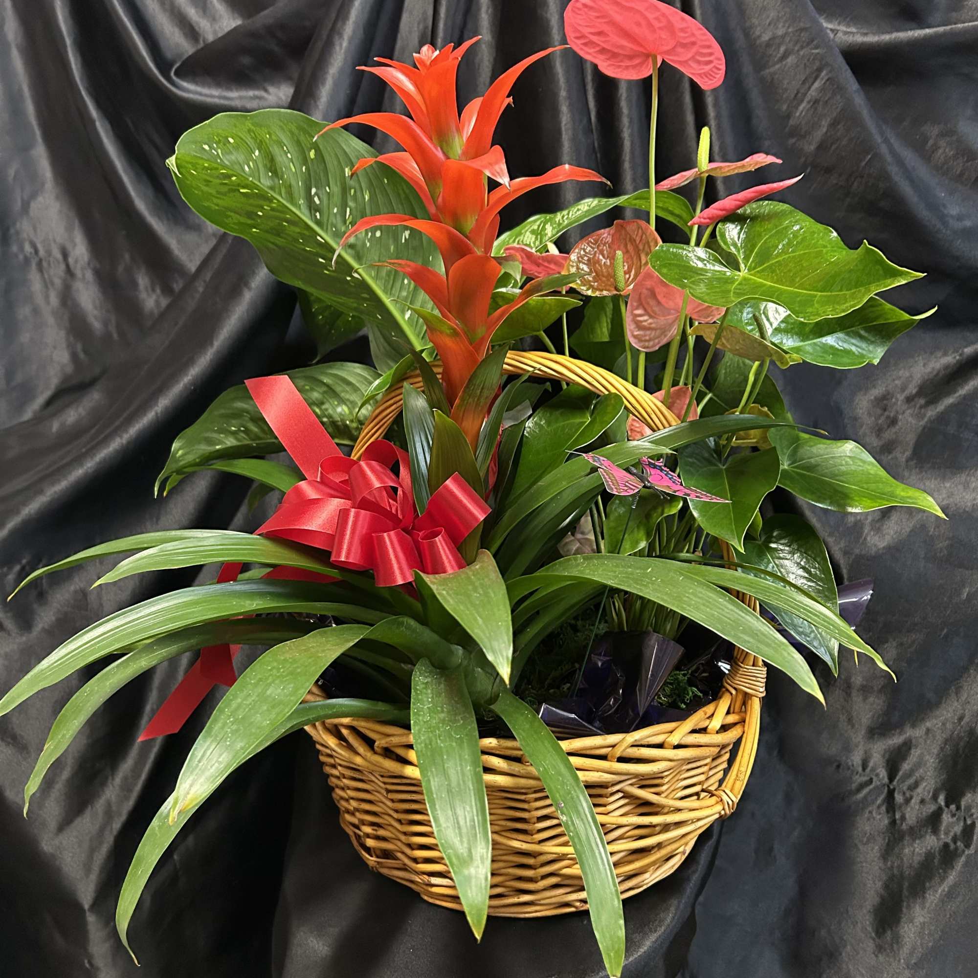 Tropical plant basket with red flowers and glossy green leaves