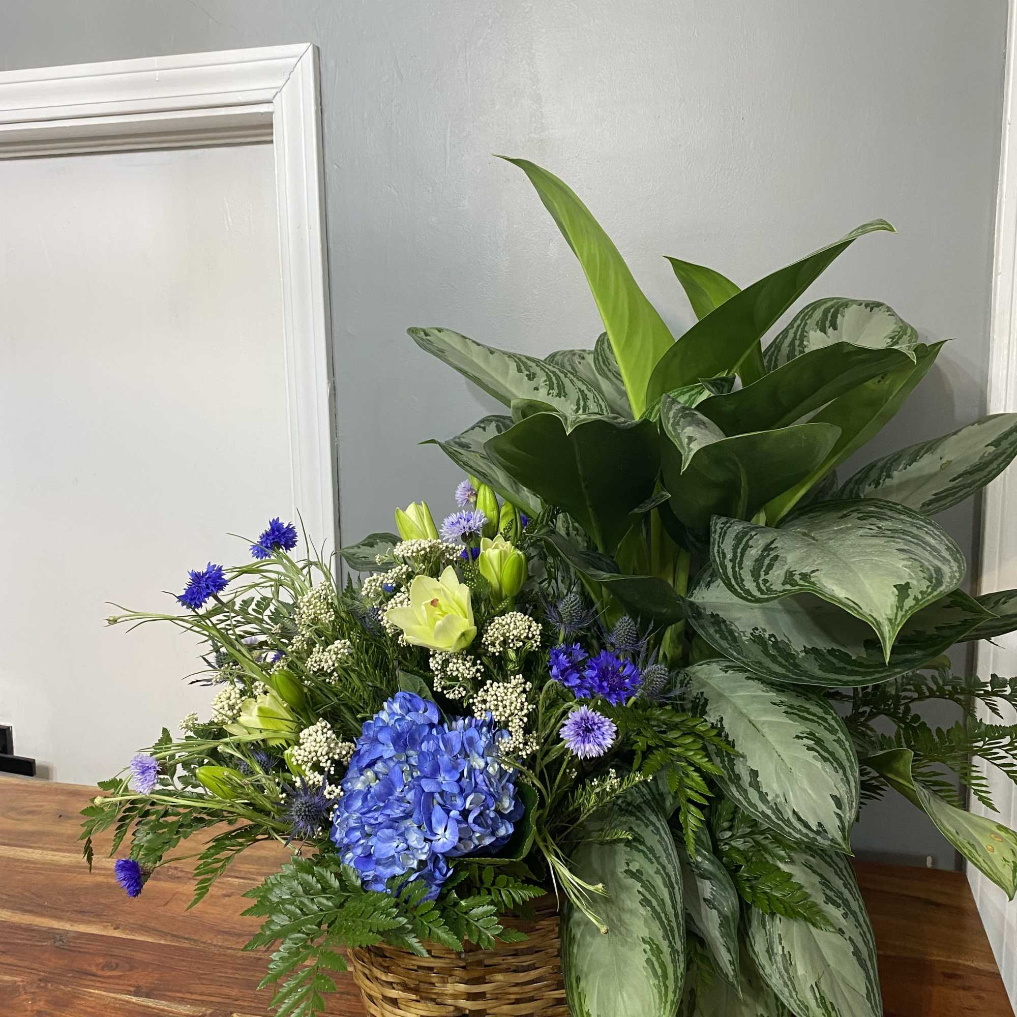 Amazing Floral arrangement with a Plant Combo in a basket