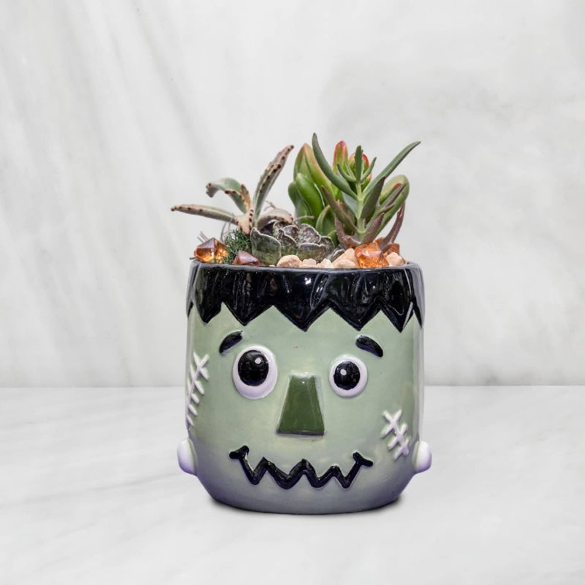 Succulent arrangement in a Frankenstein face planter