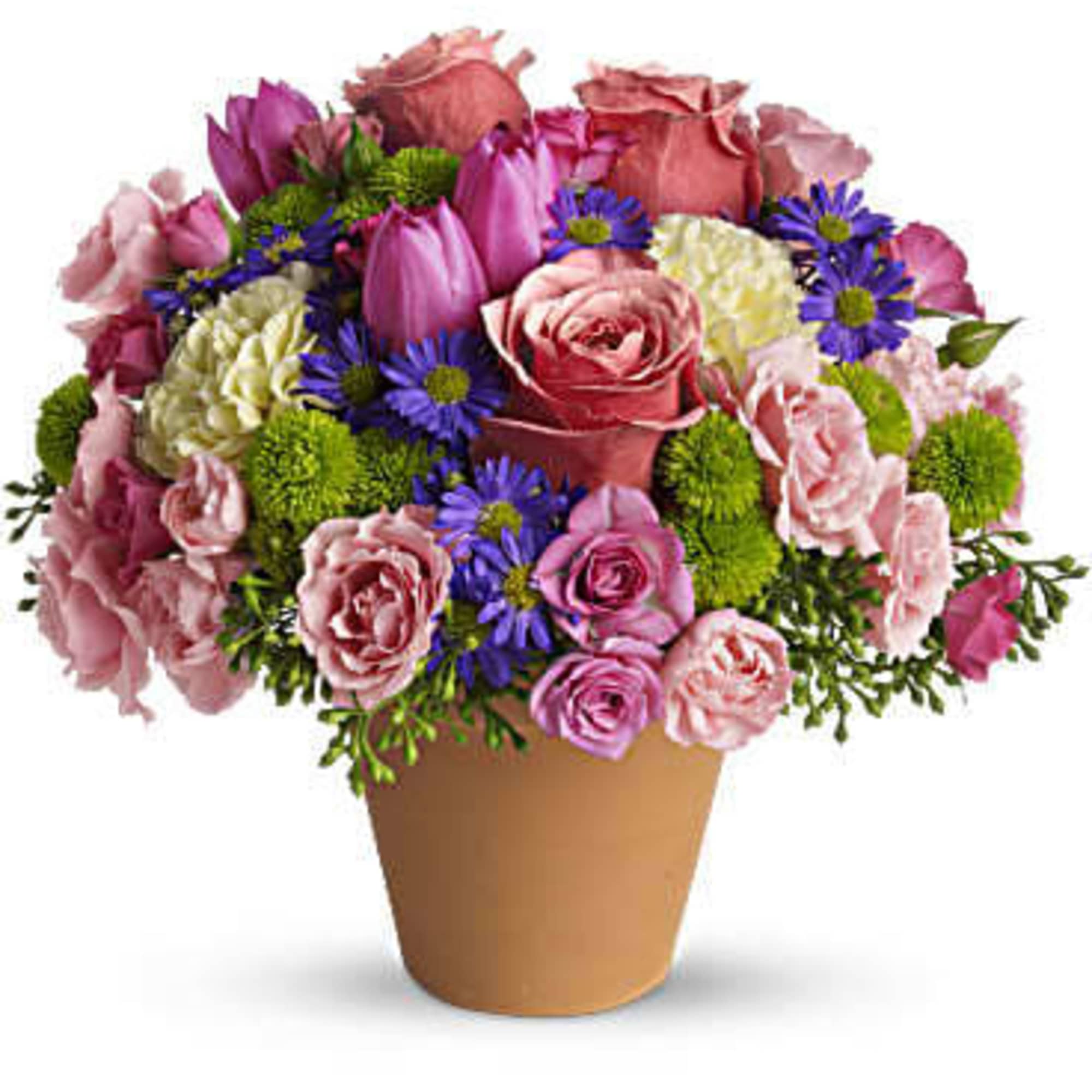A warm terra-cotta pot and lots of fun colors give this bouquet