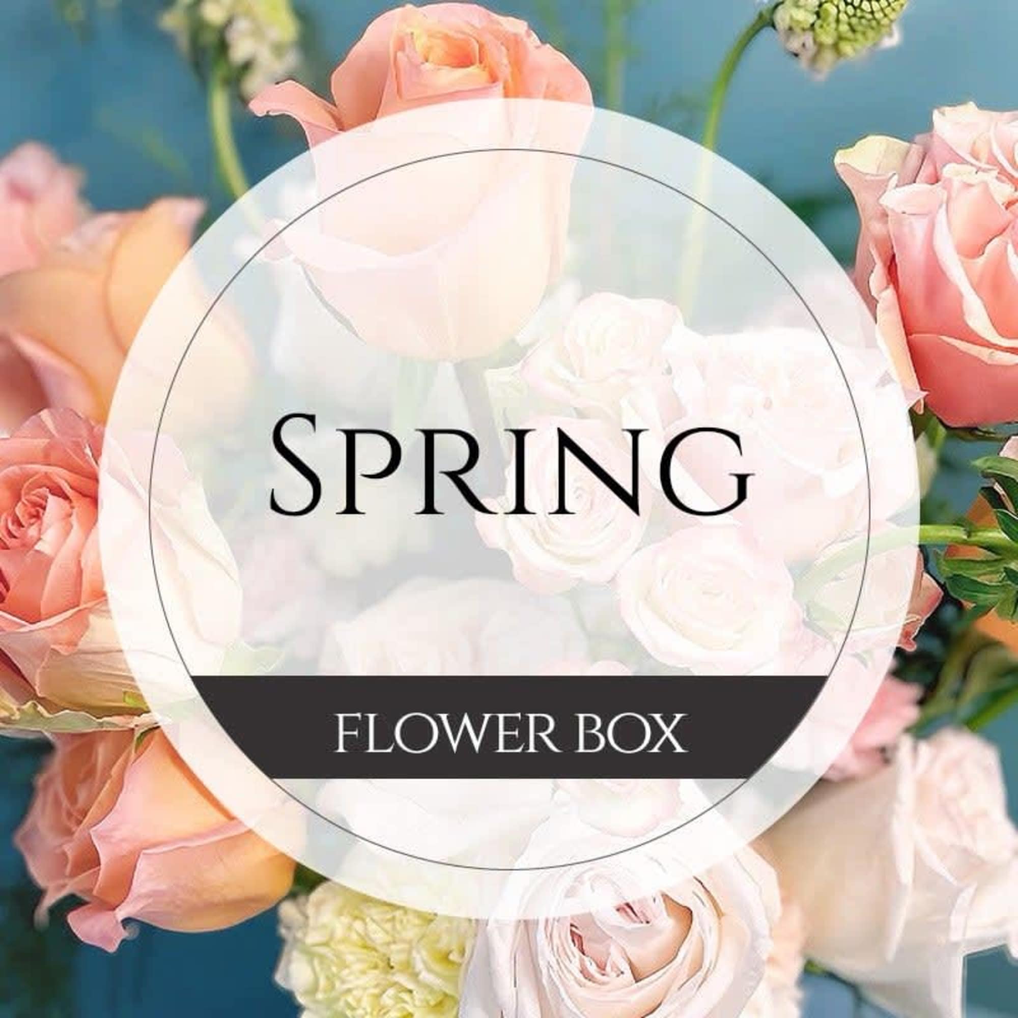 Pink and white roses in a flower box with the word Spring