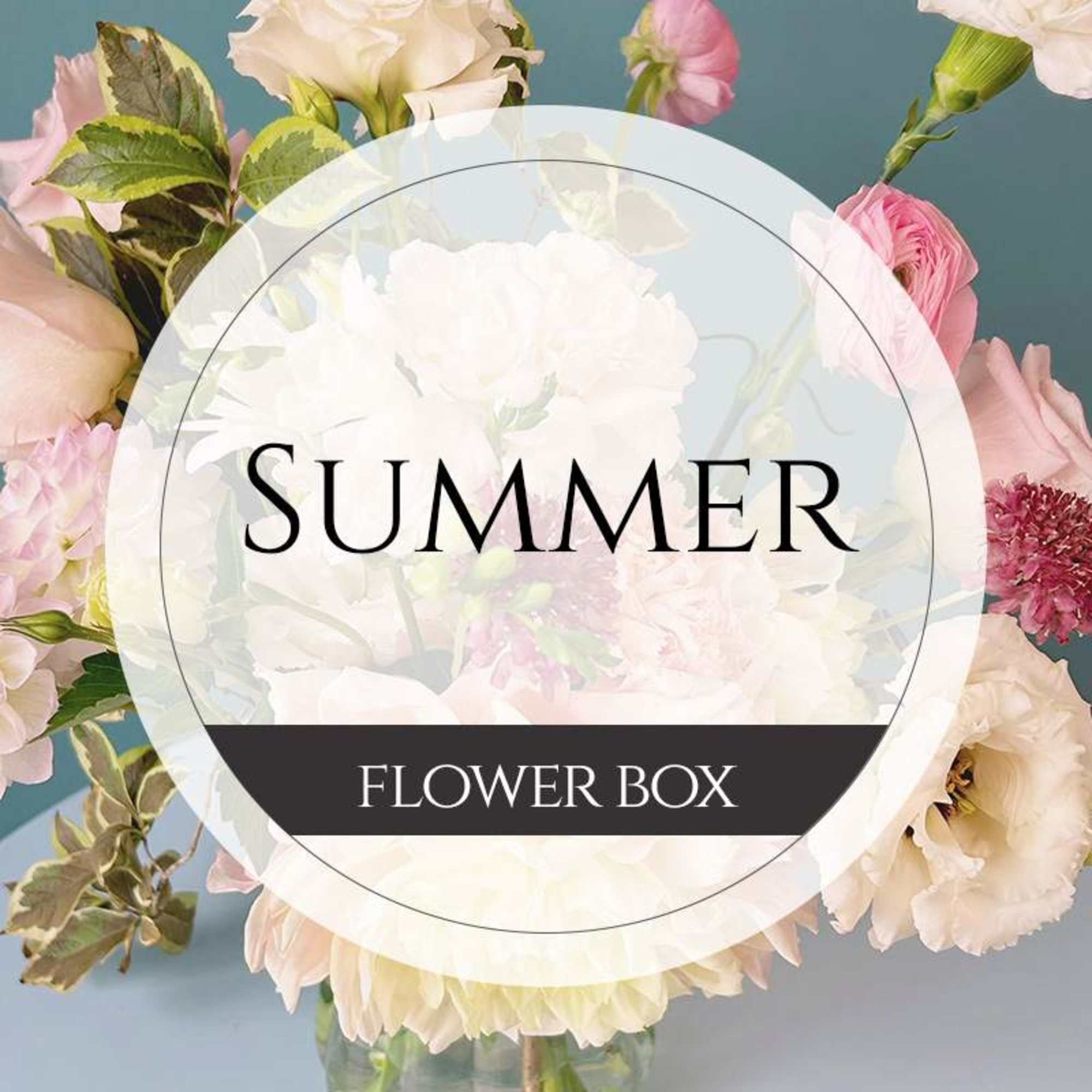 Summer flower box with pale pink and white blooms