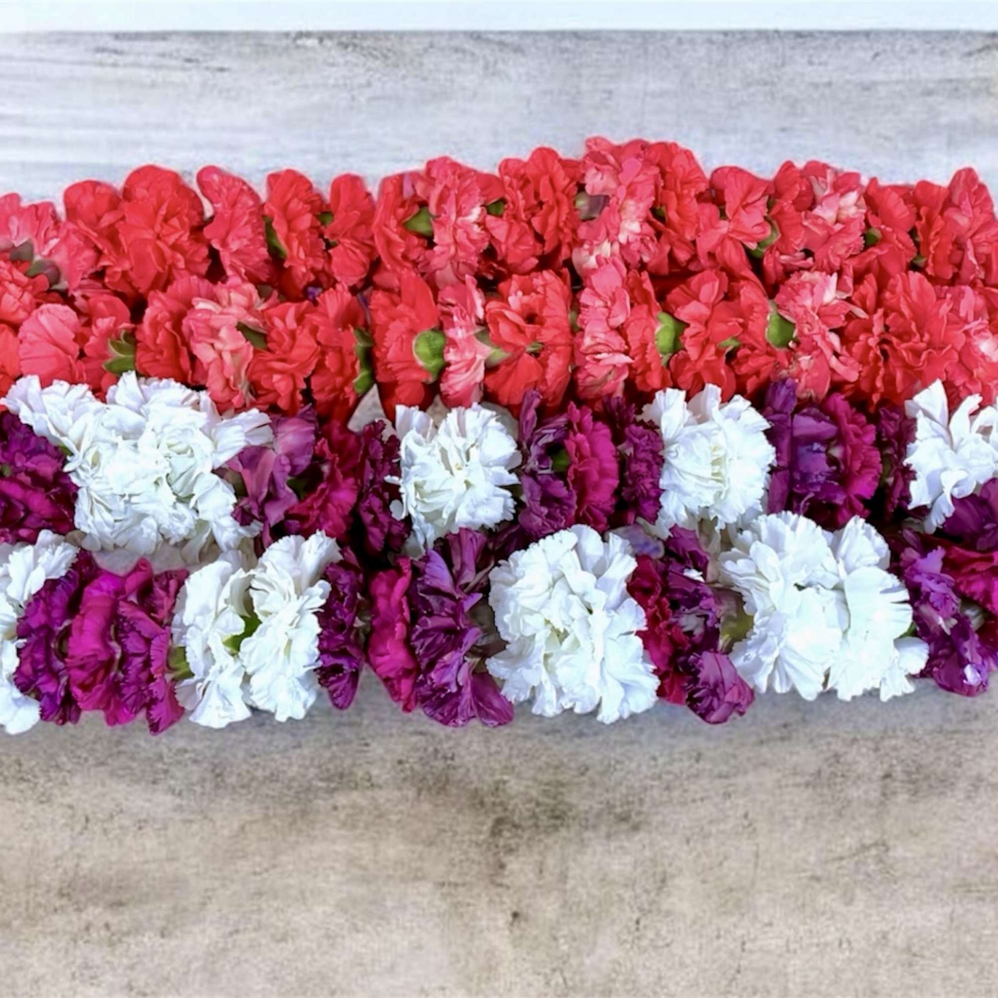 Carnation lei with soft ruffled blooms - a cheerful, festive accessory perfect