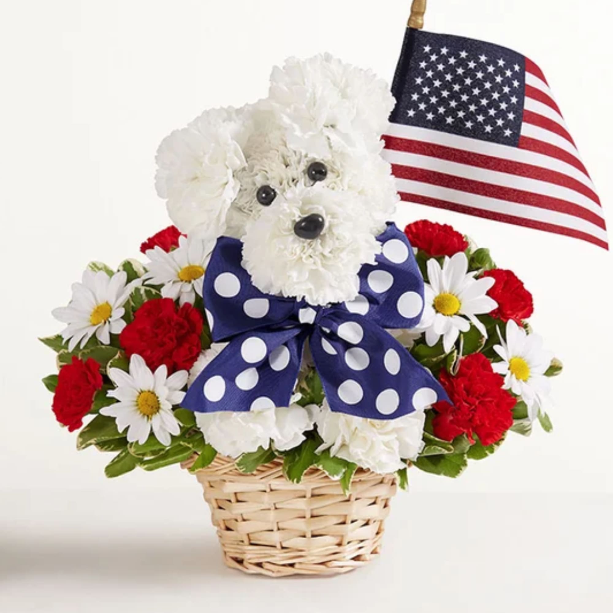 Unleash smiles with our Yankee Doodle Doggie. Crafted from red and white