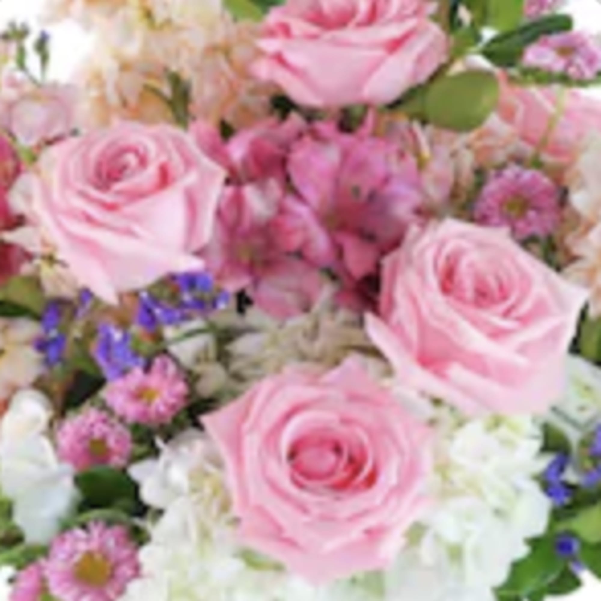 Beautiful flowers consisting of white hydrangea, pink roses, Matsumoto and more in