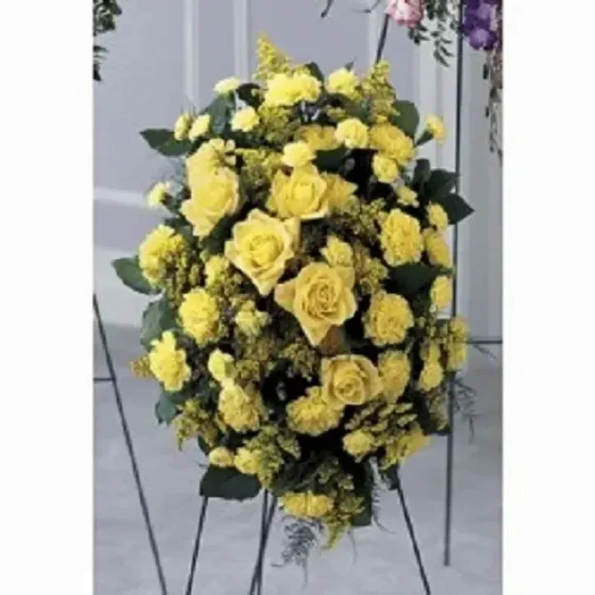 Sunshine Of Rays greets a memorial service with dignified brightness-the tall standing
