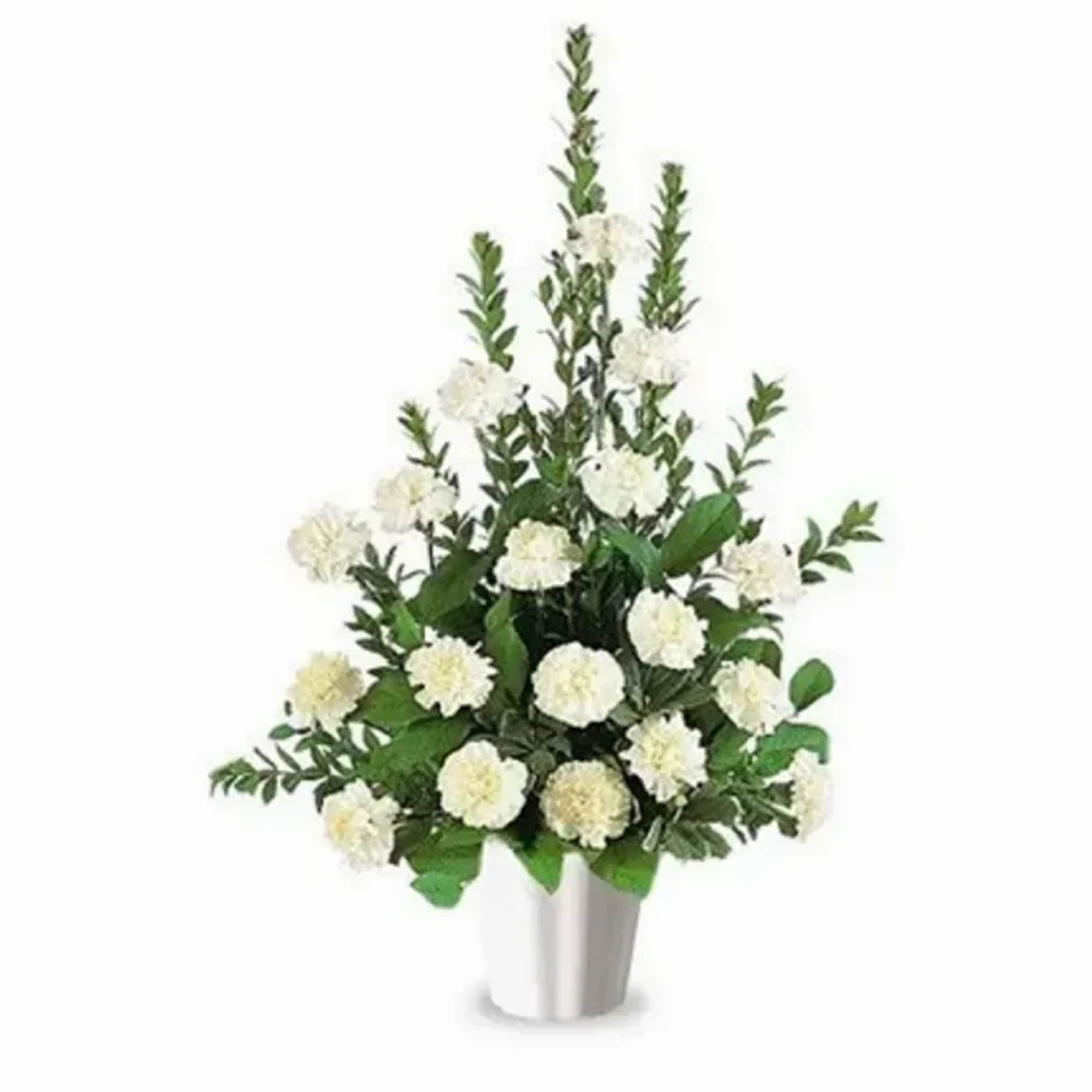 Clustered white carnations rise in a compact, upright design that feels calm