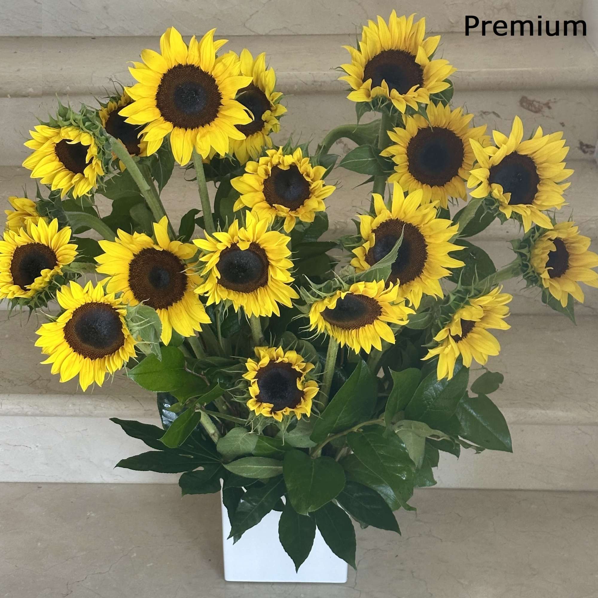Tall arrangement of yellow sunflowers in a white rectangular vase