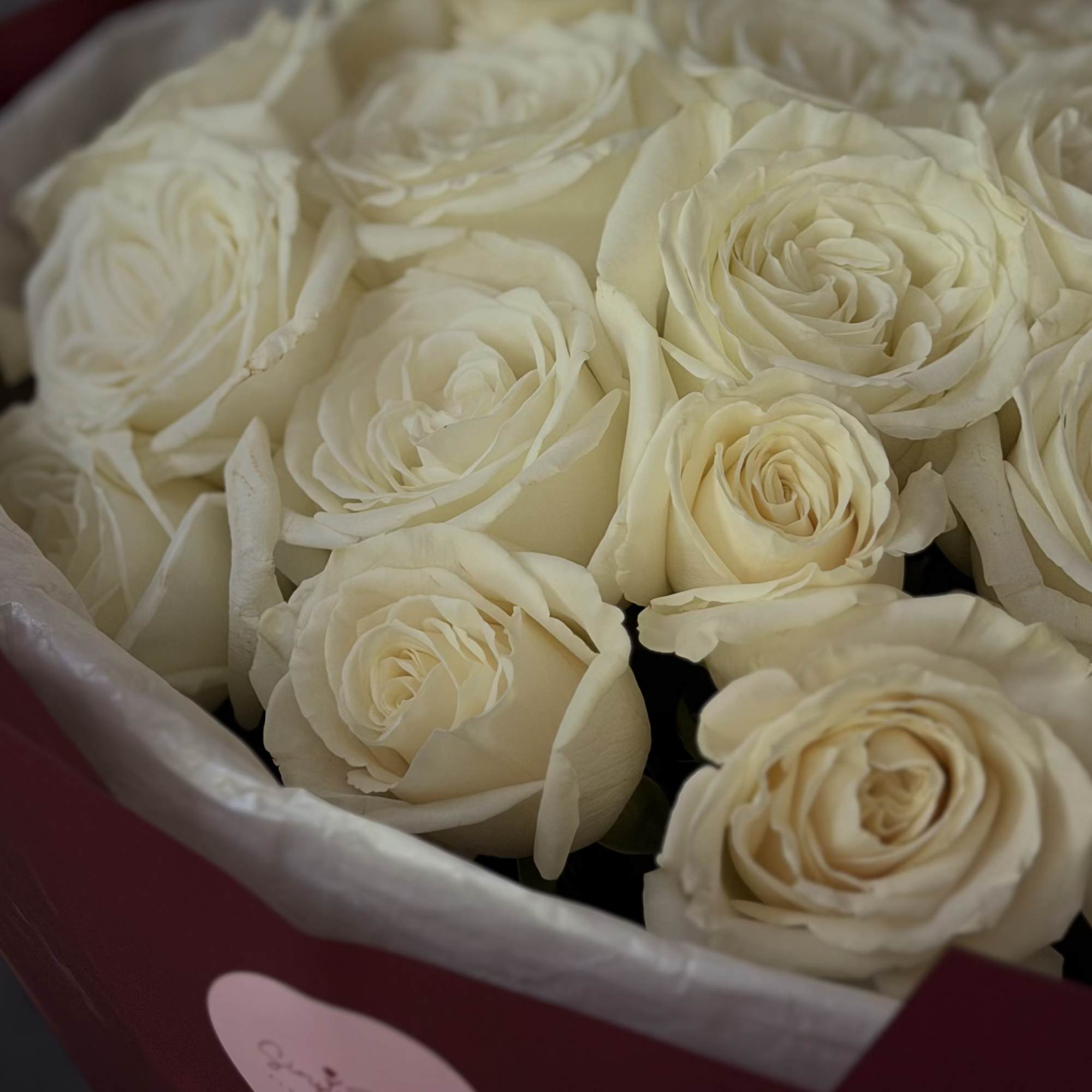 A lush cloud of cream-white roses makes an immediate, elegant impression-perfect as