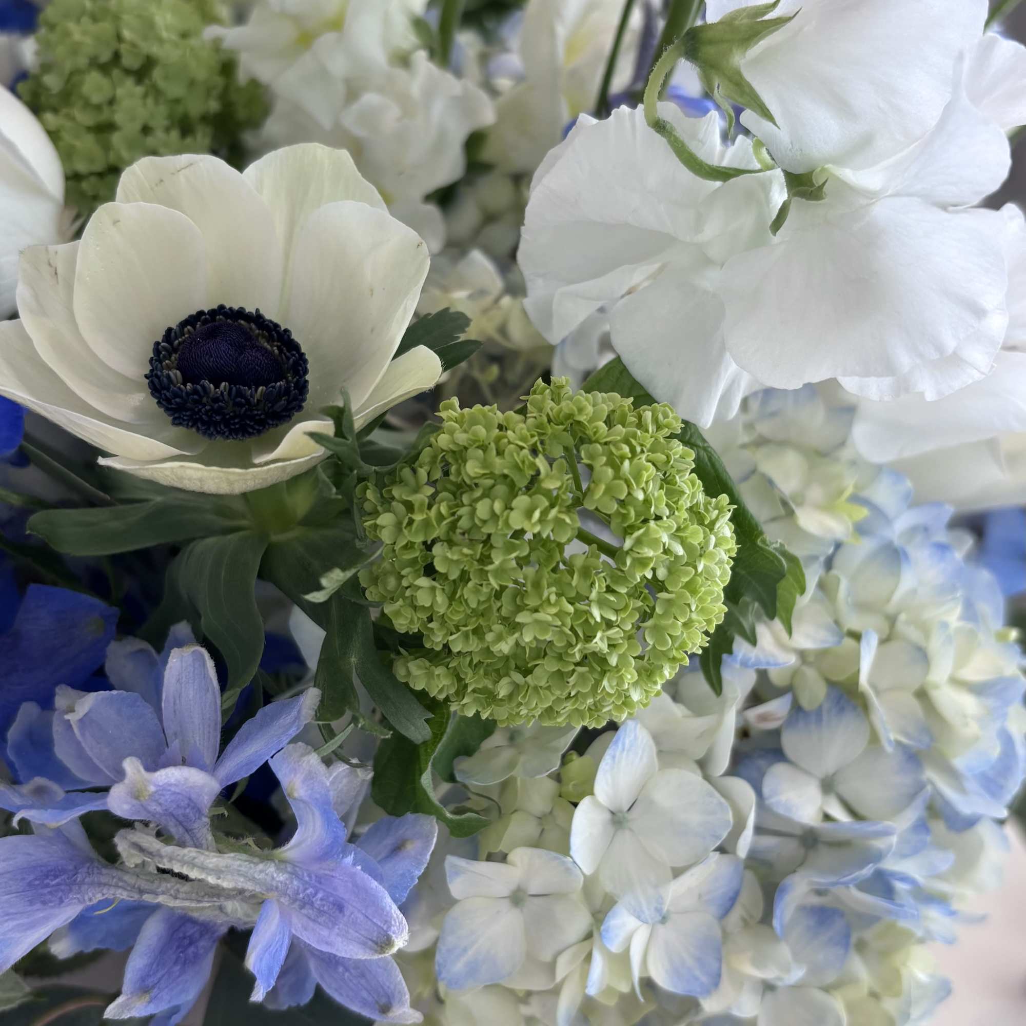 Our signature luxury coastal arrangement. Created with the freshest premium blooms available