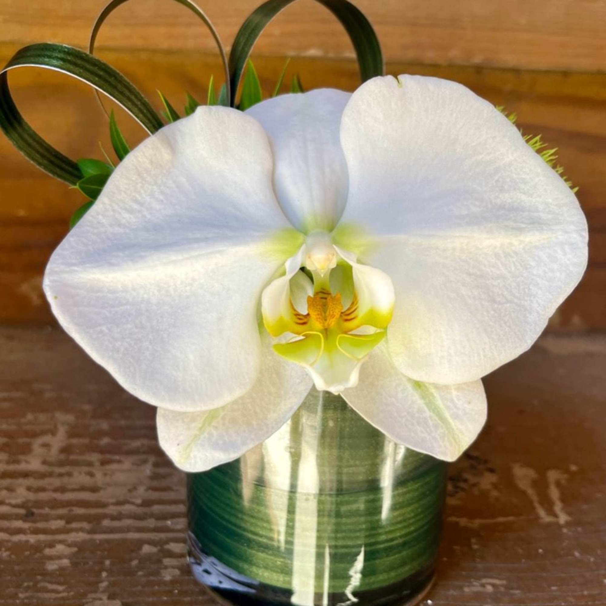 3"x4" Minis are perfect bathroom arrangements or combine a few with two