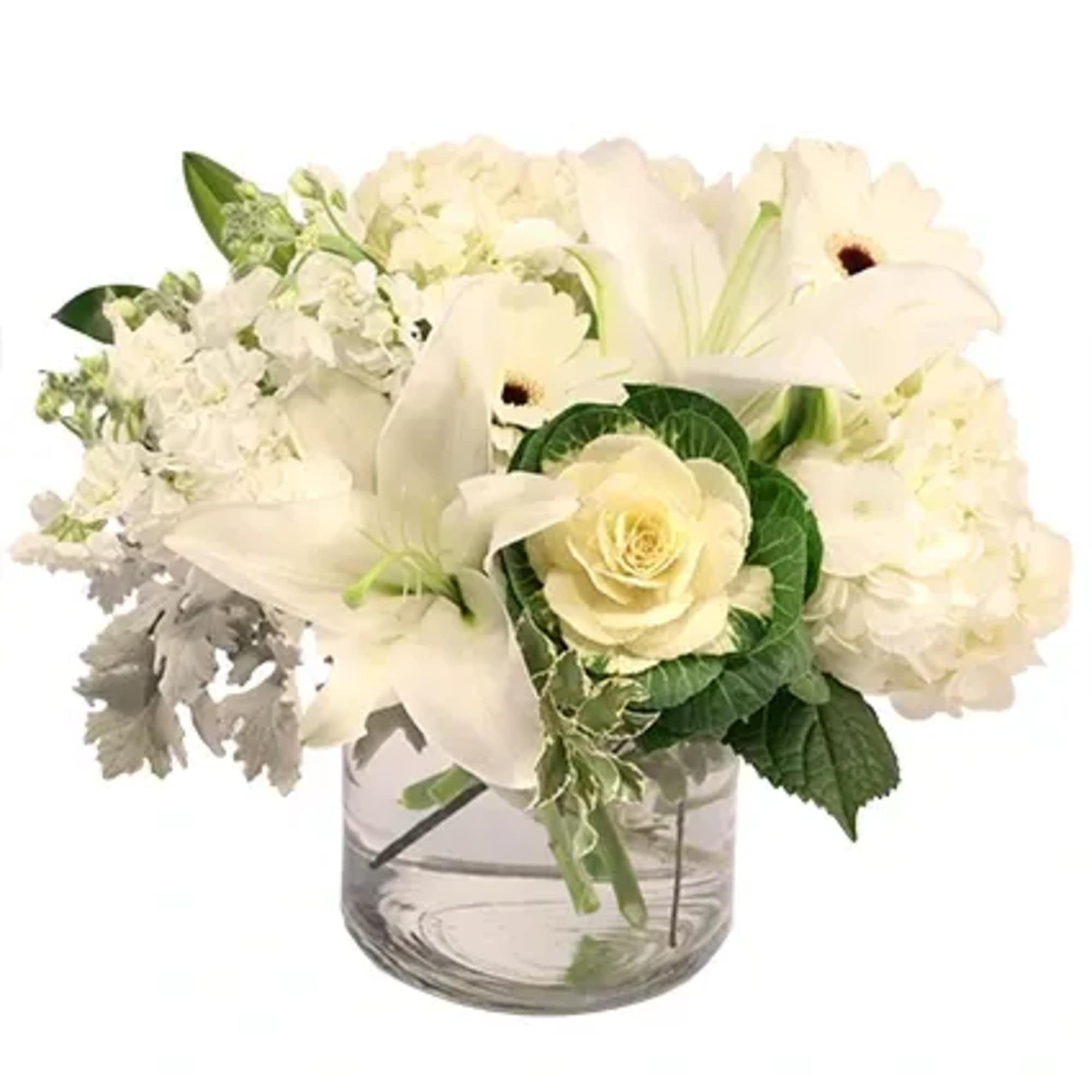Full of tranquil beauty, Peaceful Purity features angelic white gerberas, hydrangeas, lilies