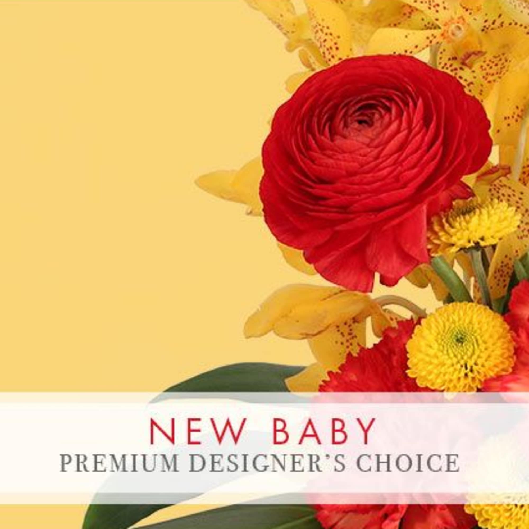 Send your congratulations to the happy family! Welcome the sweet bundle of