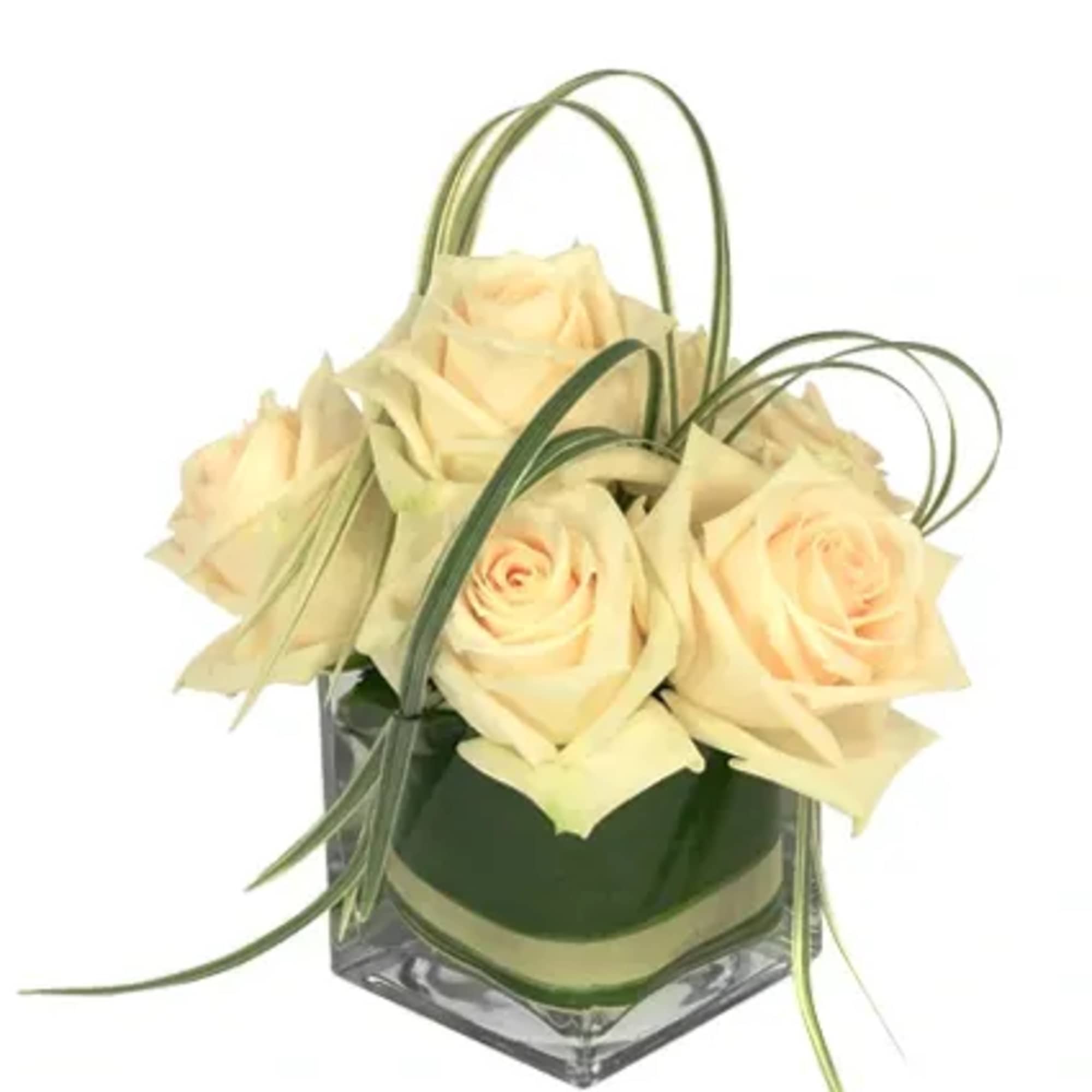Embrace timeless elegance with Dainty White Roses, a classic arrangement featuring pristine