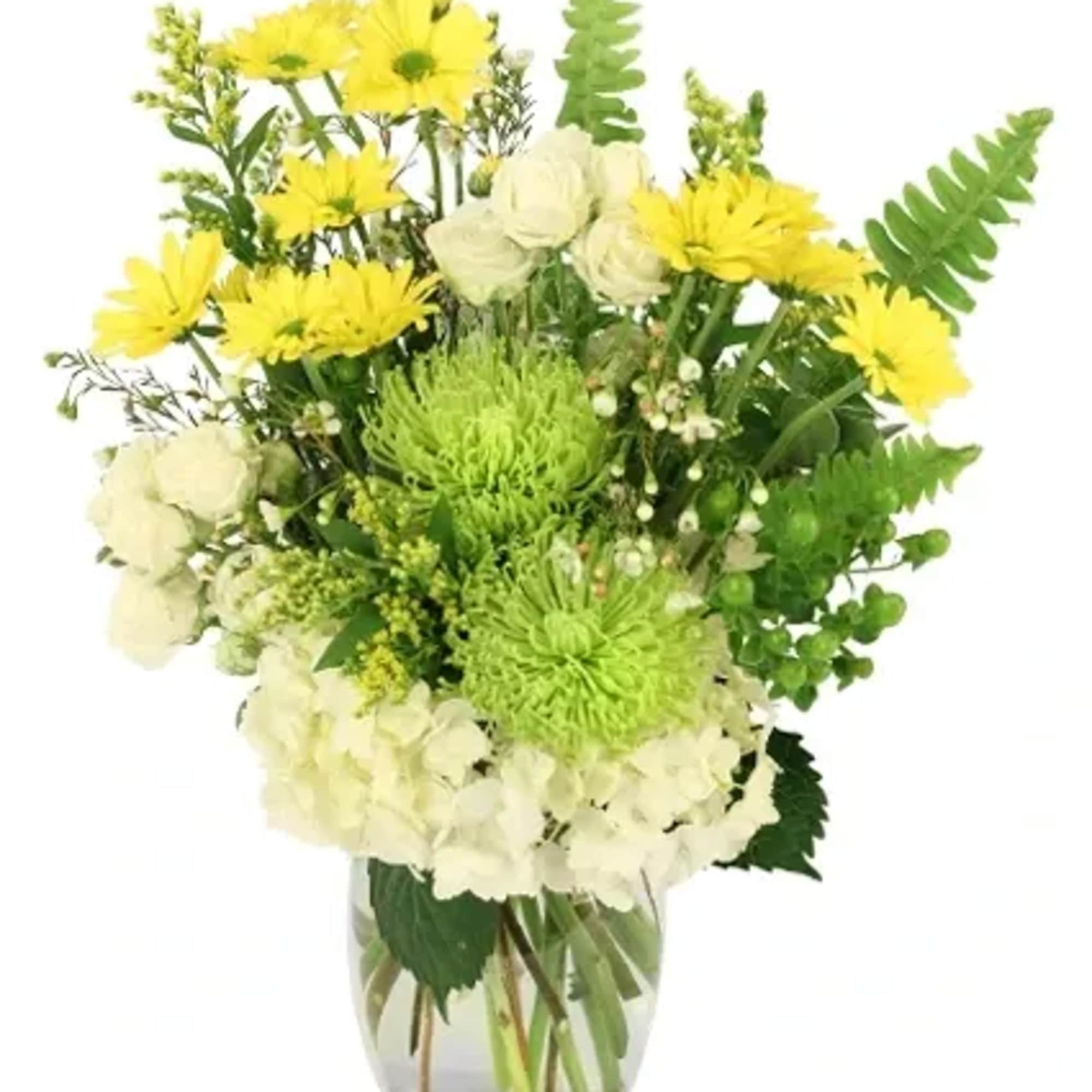This vibrant arrangement features cheerful yellow daisy poms, lush green mums, elegant