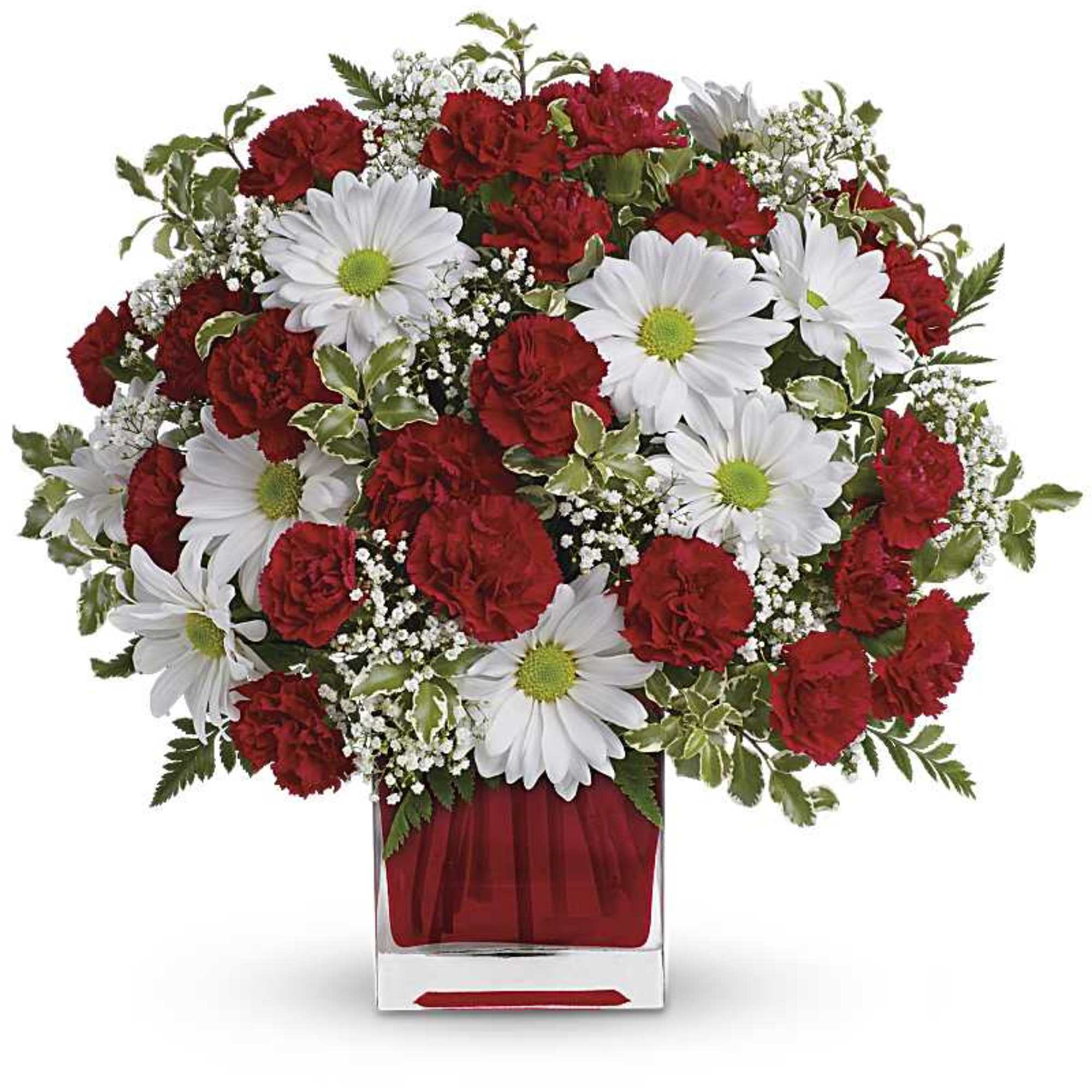Red carnations and white daisies in a clear square vase