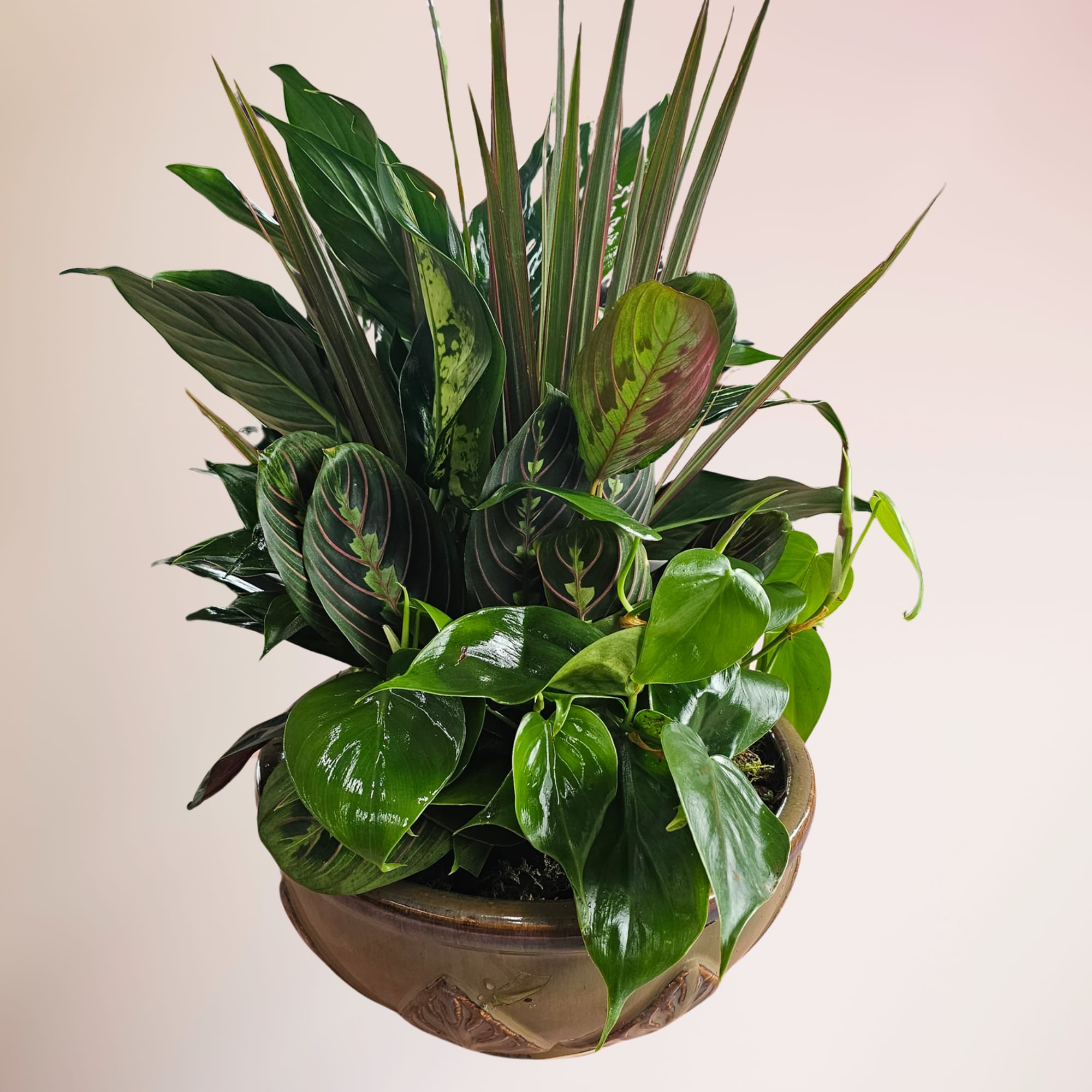 A lovely array of cheerful plants is just the right size for
