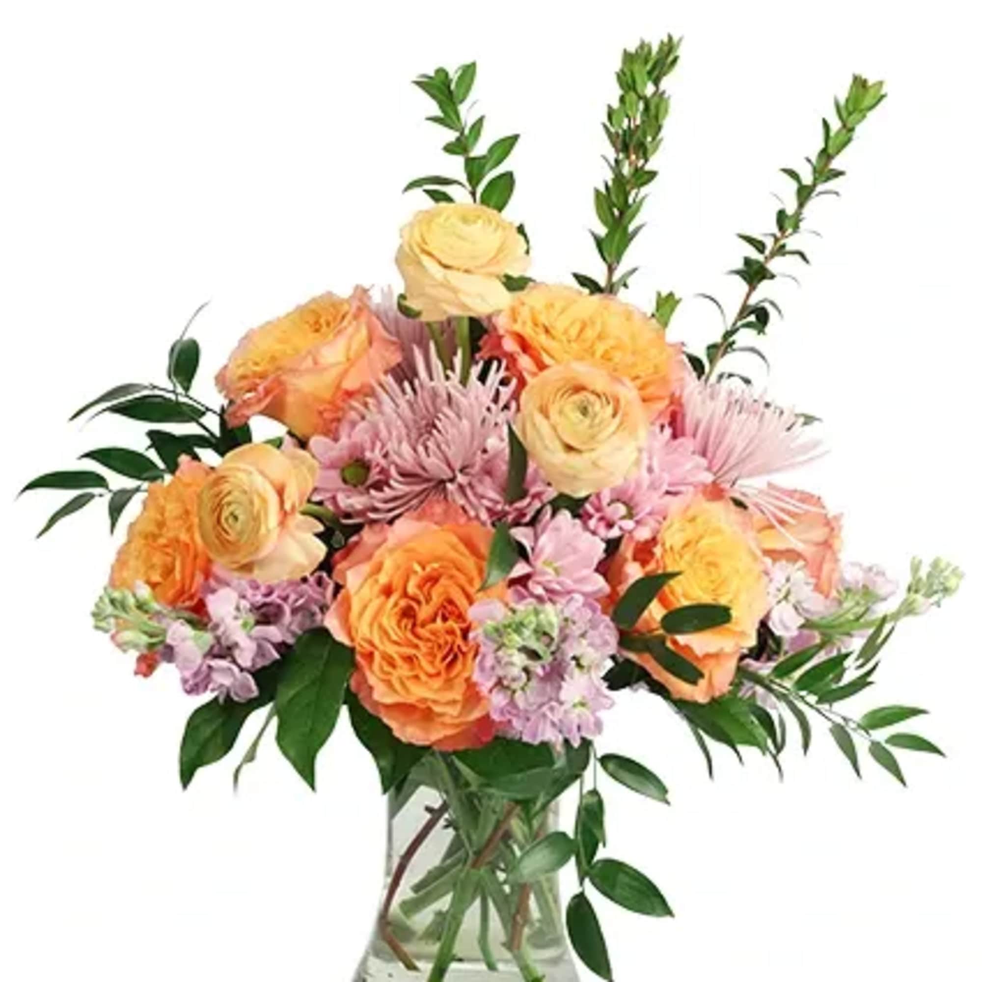 Containing the colors of the setting sun, Soothing Sunset is sure to