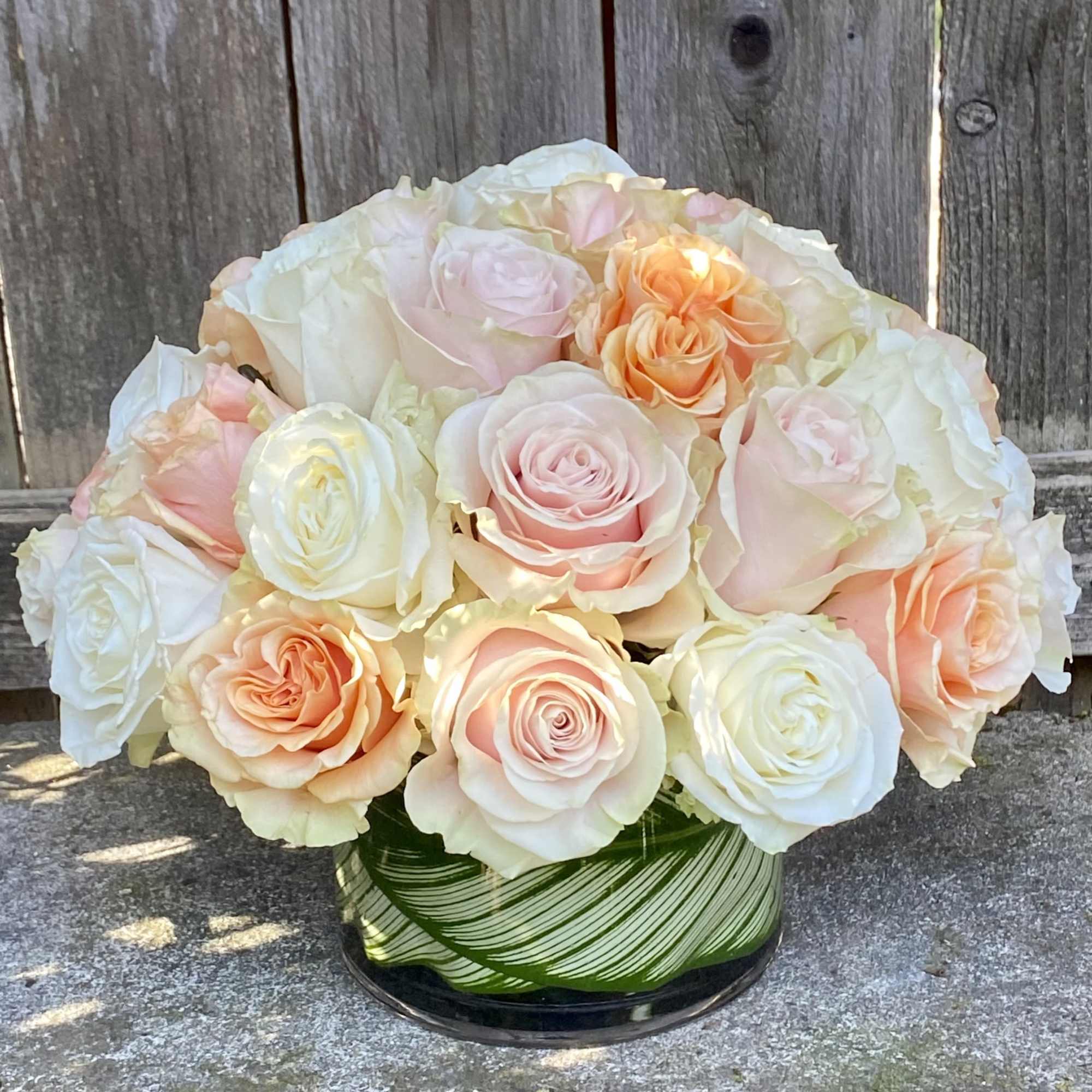 A special Mother&rsquo;s Day Edition of our Classic Roses. We have curated