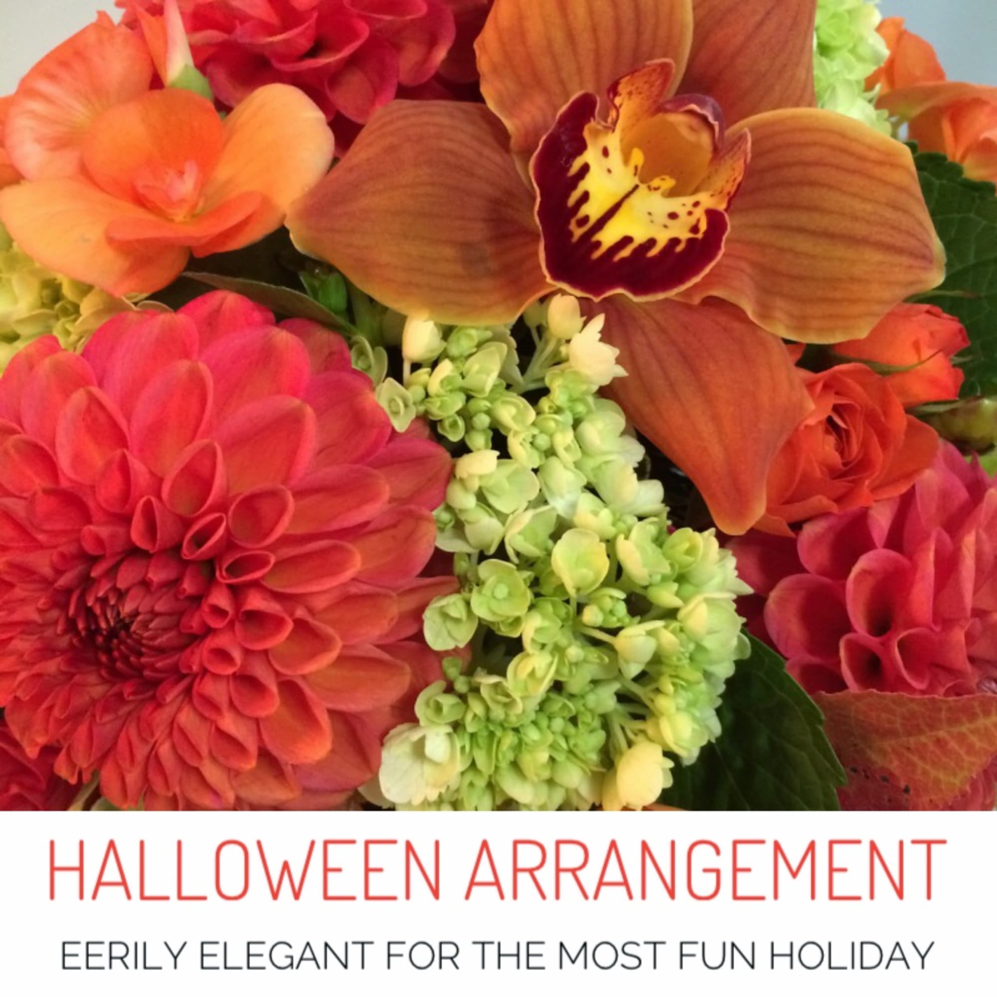 Our signature style, but with a Halloween twist! Always elegant; never creepy.

Available
