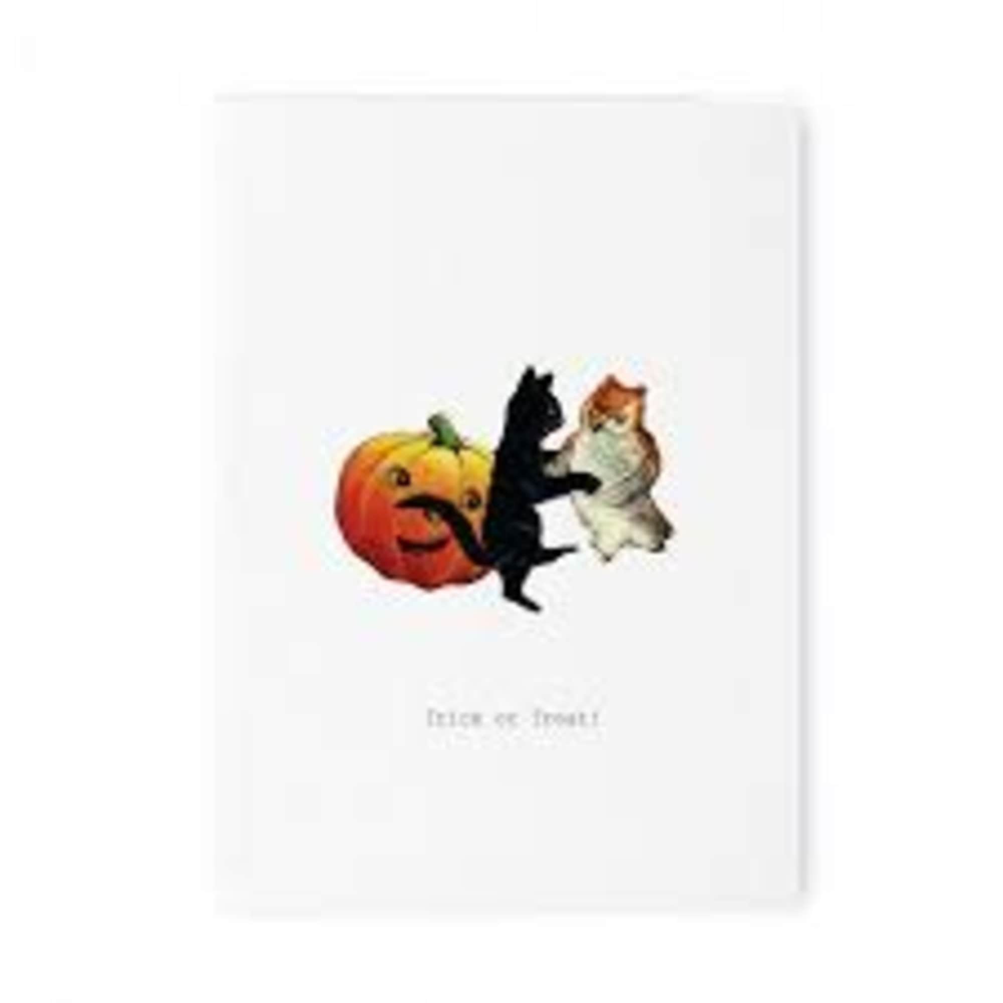 Our signature style, but with a Halloween twist! Always elegant; never creepy.

Available